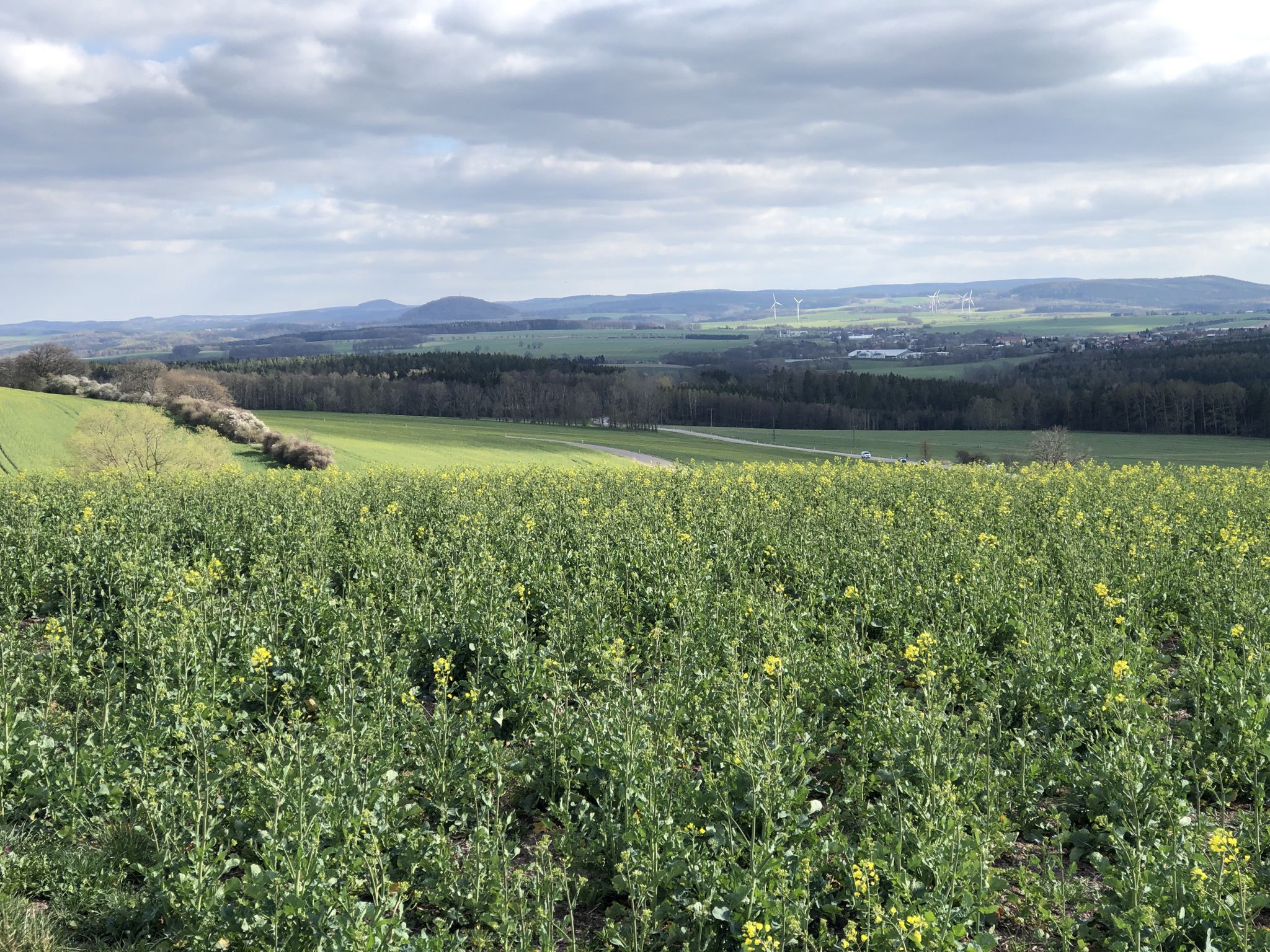 Luchberg und Geising