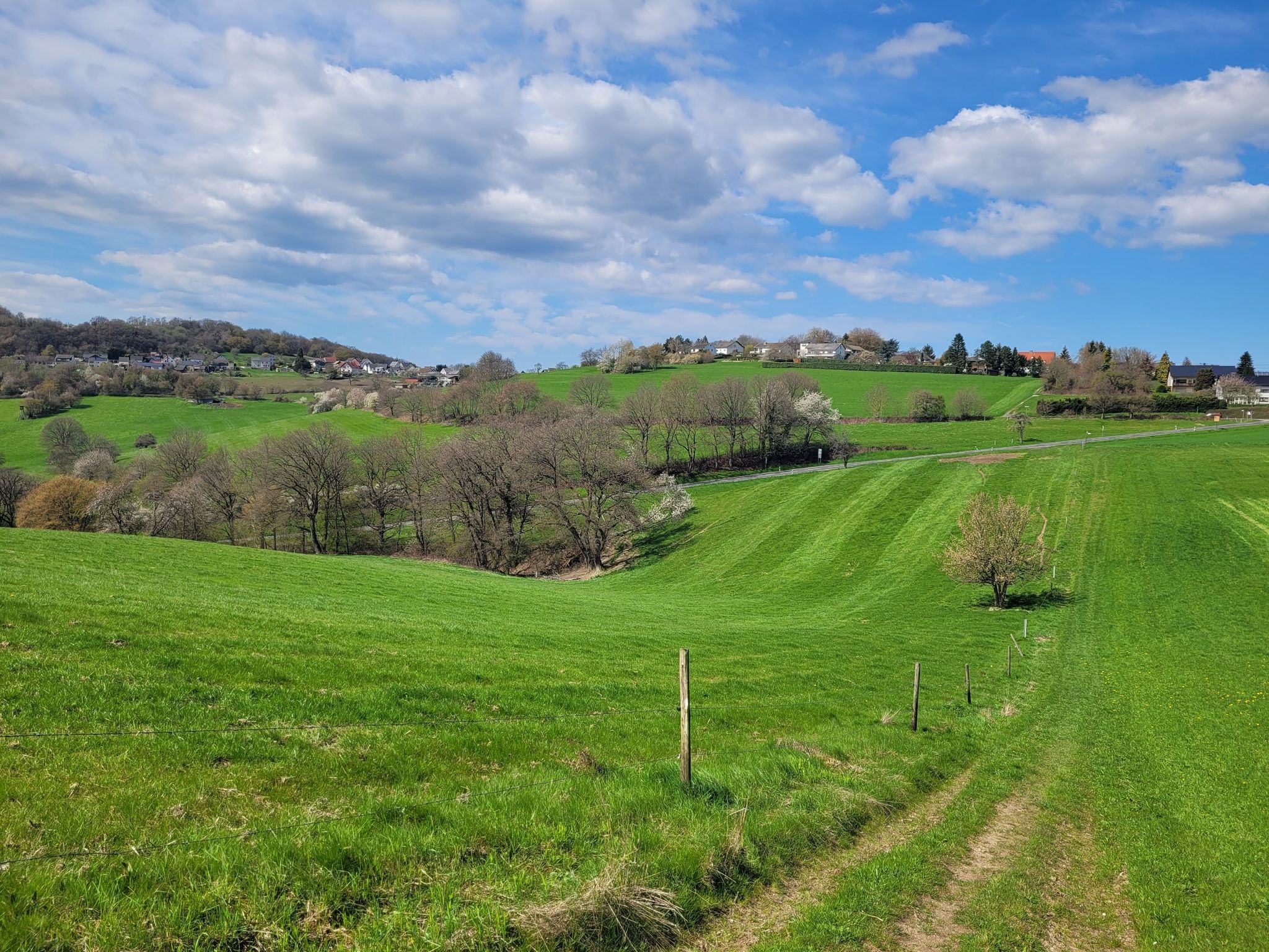 Blick hinüber nach Hargarten