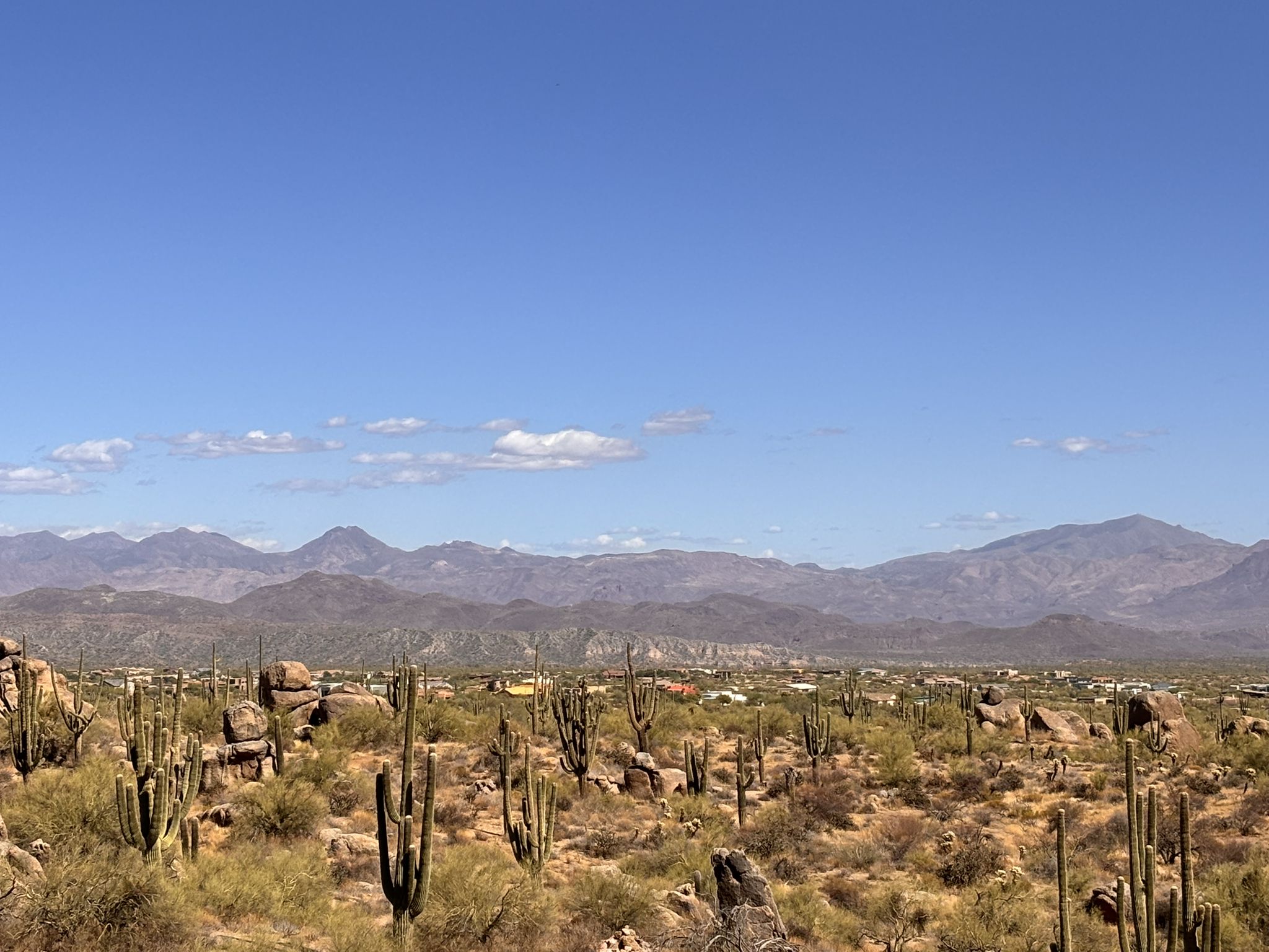 Expansive desert landscape with saguaro cacti and distant mountains under clear sky. - Bootlegger and Granite Mountain Loop