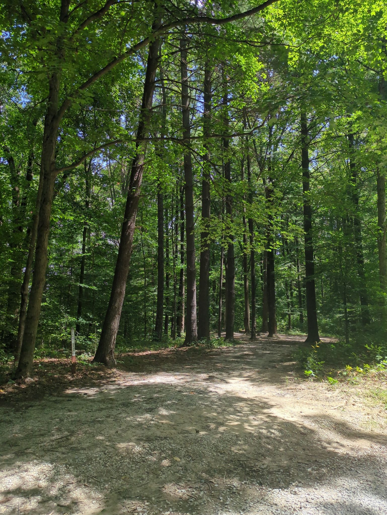 Ooo pretty campsite