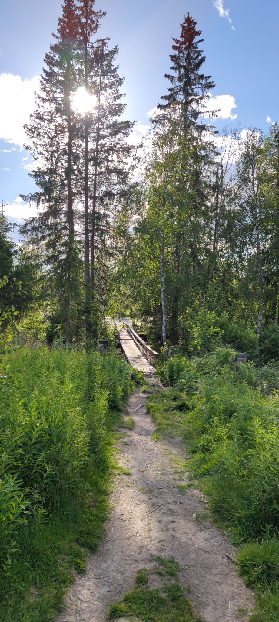 wood23