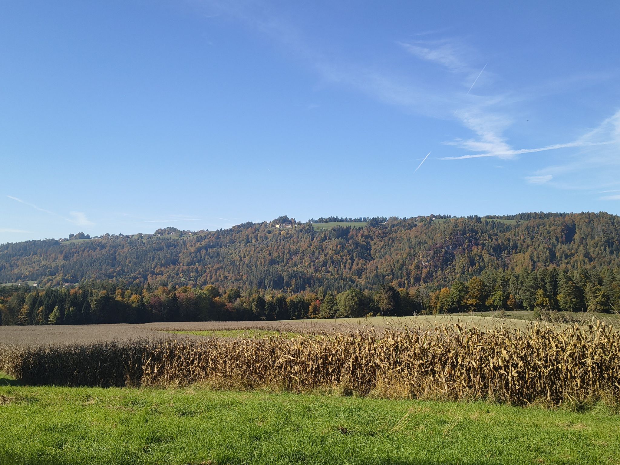 Plöschenberg 
