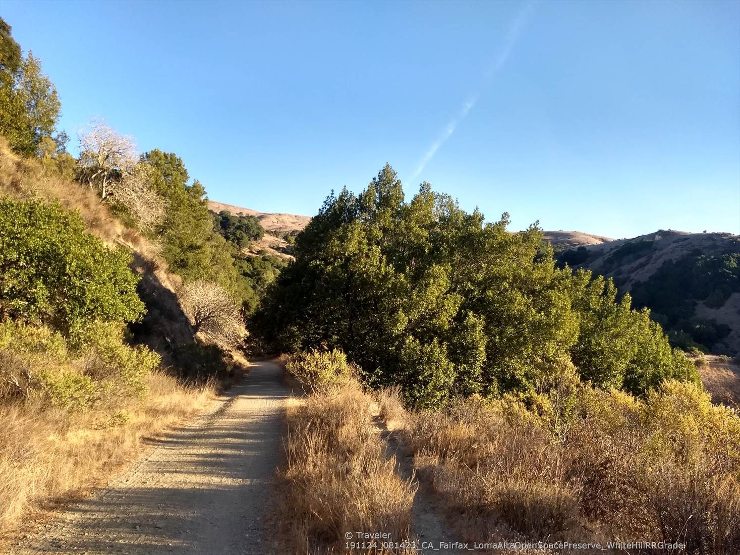Dirt path winding through sunlit hills with green trees under a blue sky. - Fish Gulch trail junction – Phoenix Lake loop from San Anselmo
