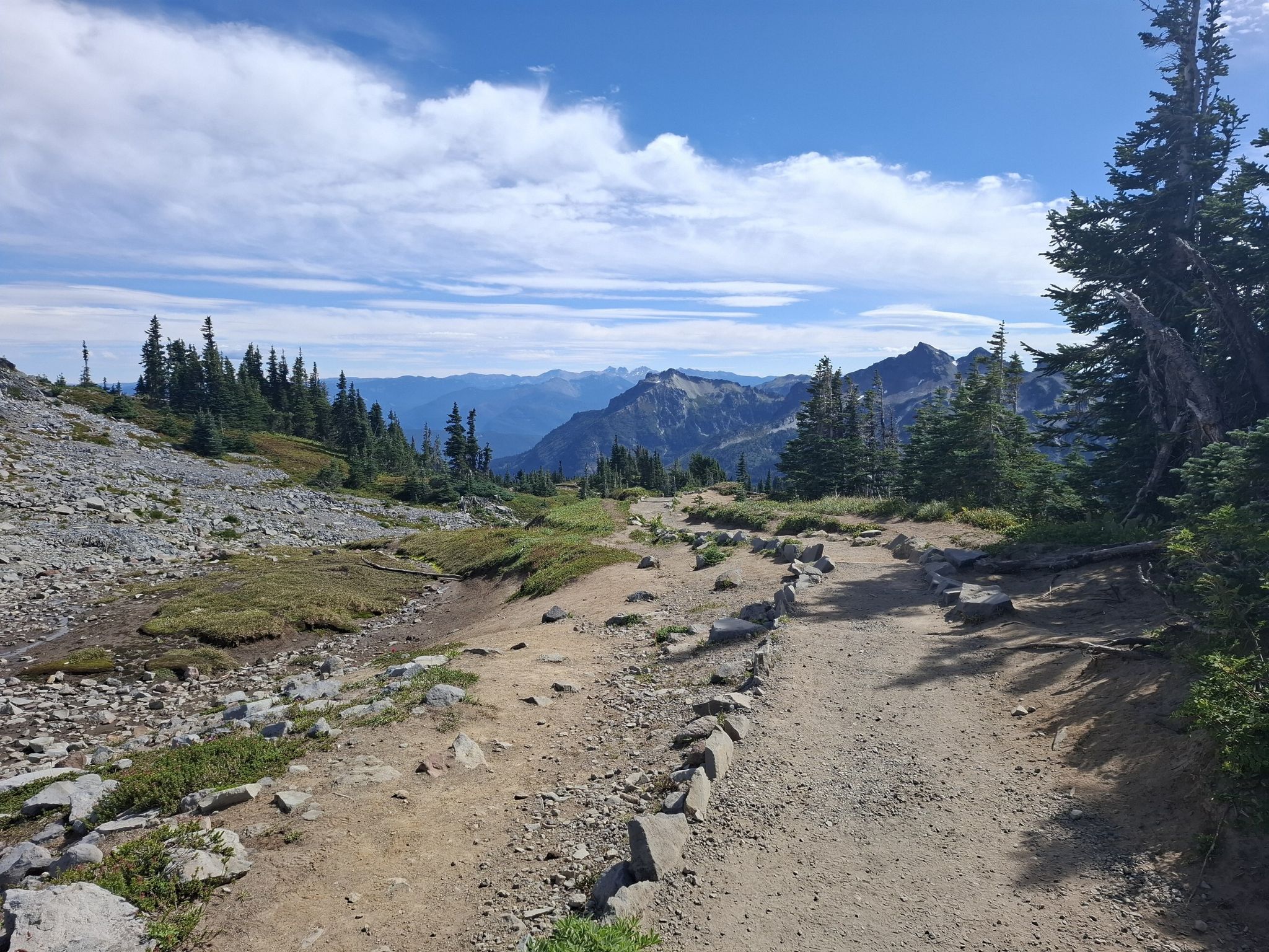 A dirt path winds through a rocky, forested mountain landscape under a blue sky. - Skyline Trail Loop