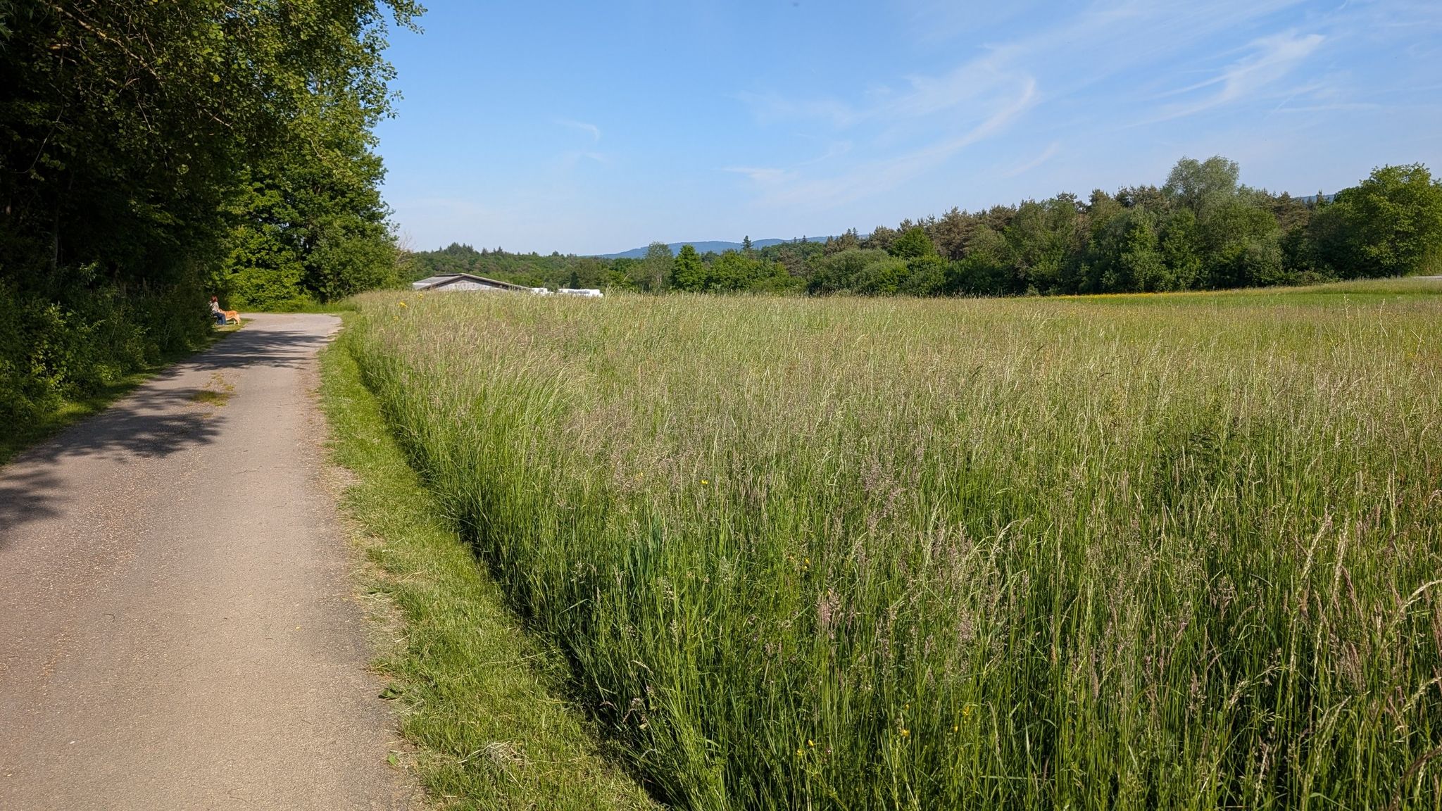 Waldrandweg