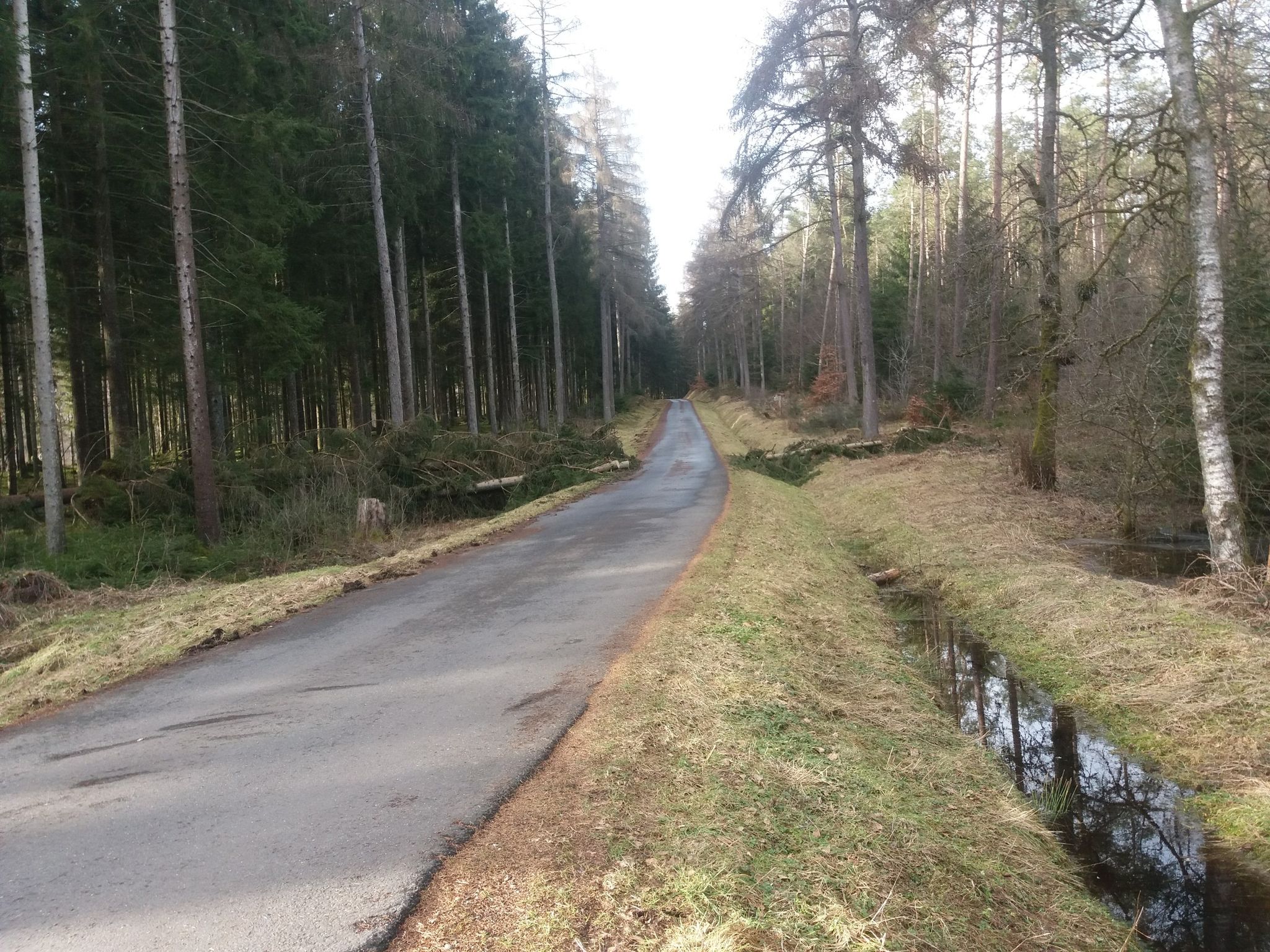 Pilgerweg