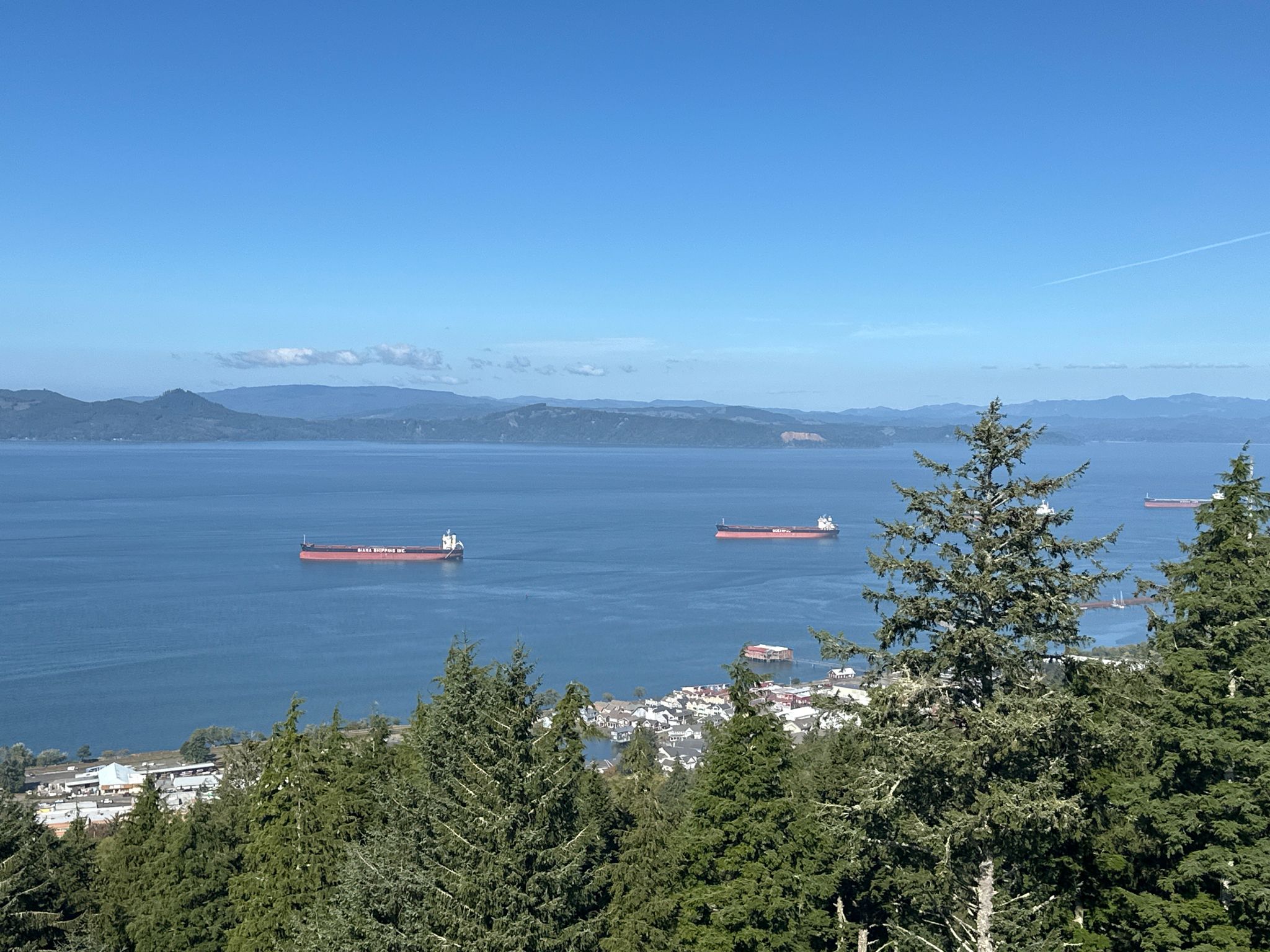 Overhead view of a large bay with two cargo ships and distant mountains. - Cathedral Tree Trail