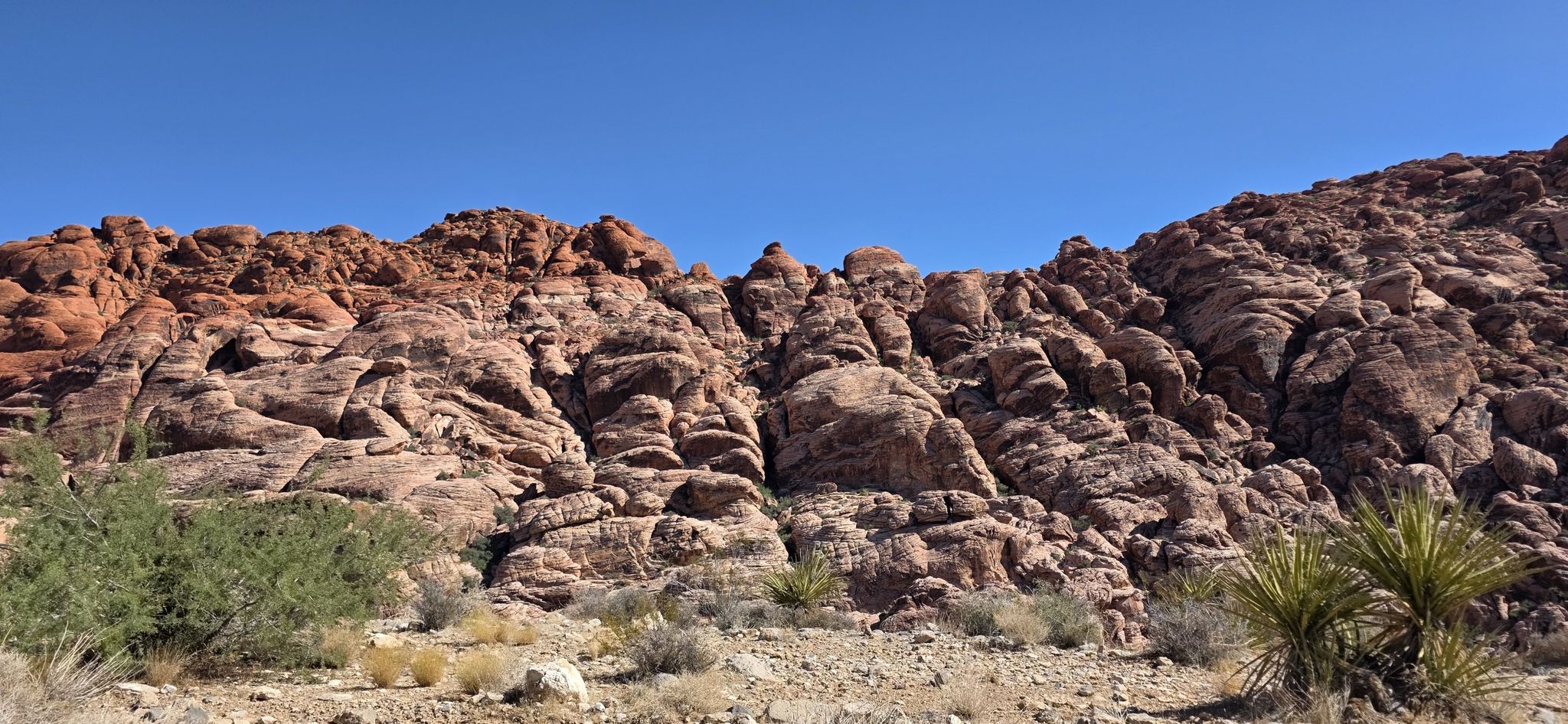 Jagged red rock formations and desert plants under a clear blue sky. - First Pullout (Calico I) – Calico I (Calico Hills South) loop from Gene's Trail