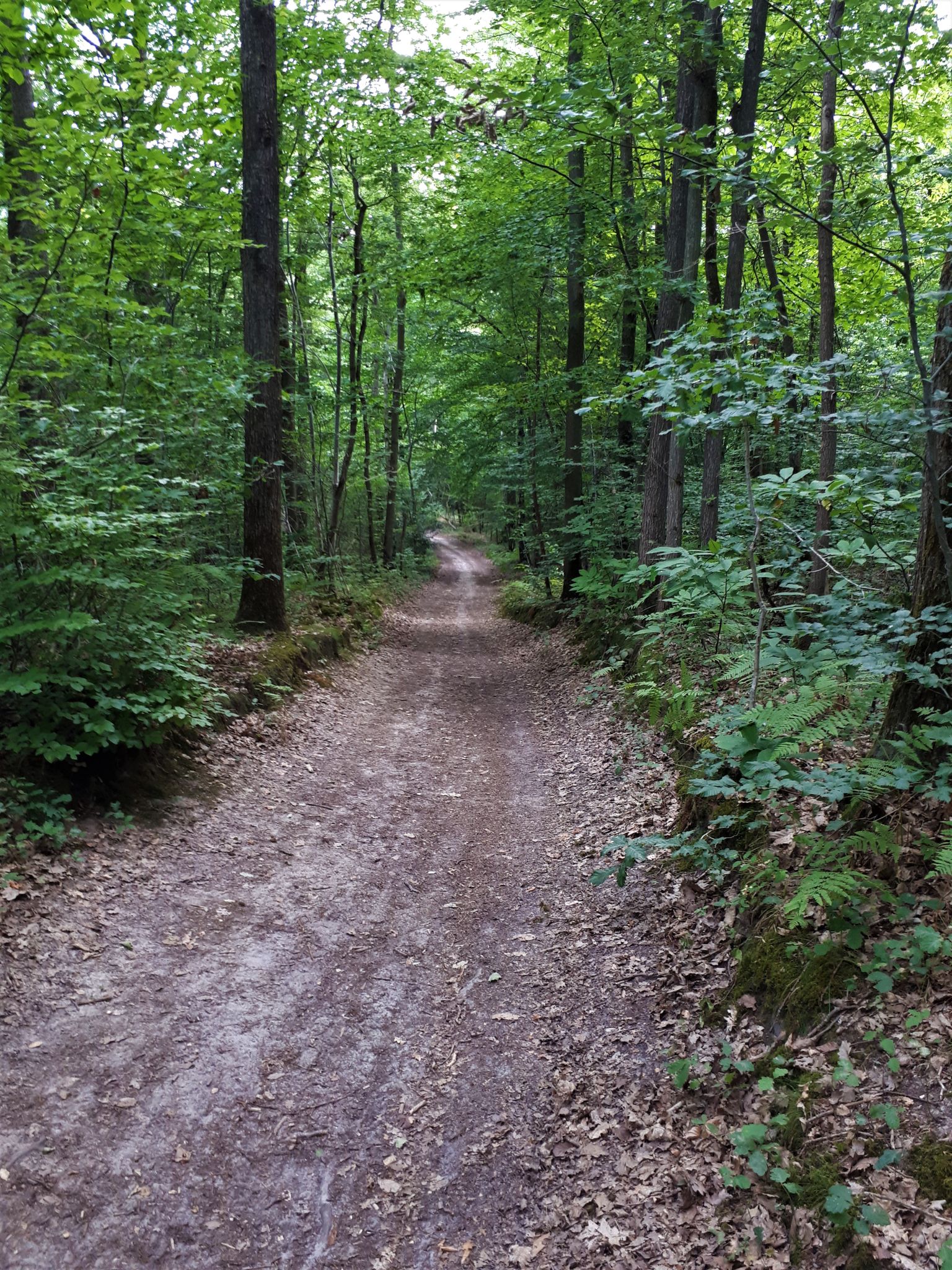 Très belle trace a partir de la Bâte