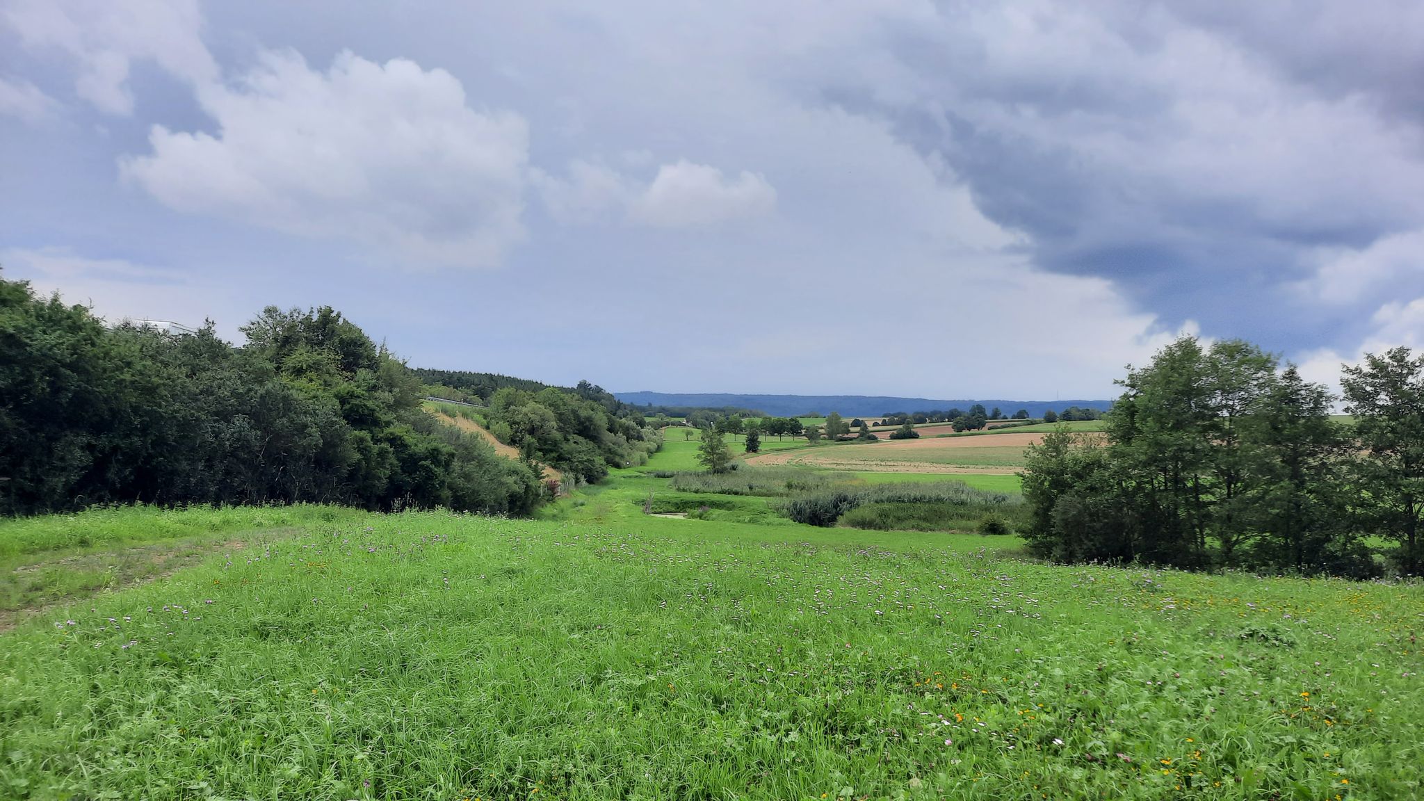 bei Haisterhofen vor dem Gewitter