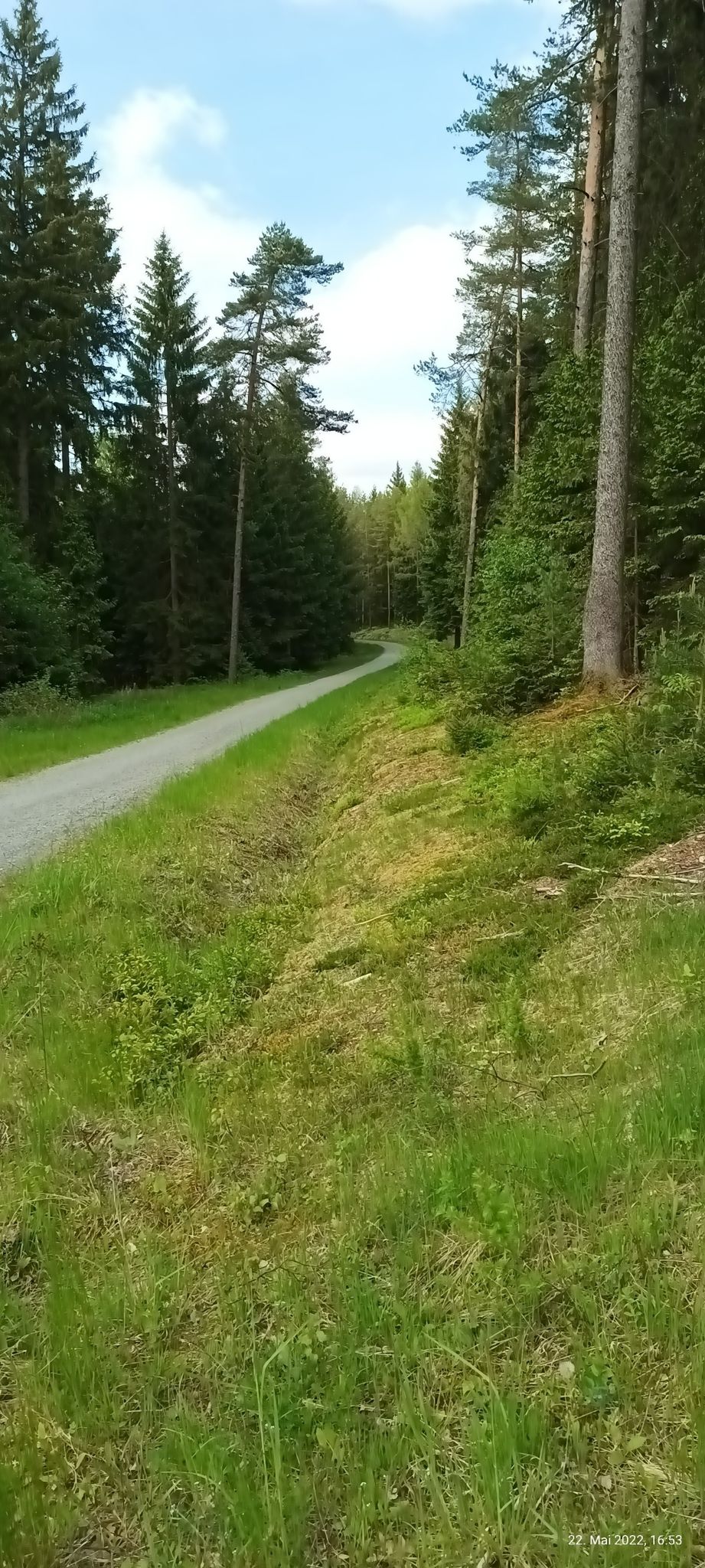 Adorfer Weg