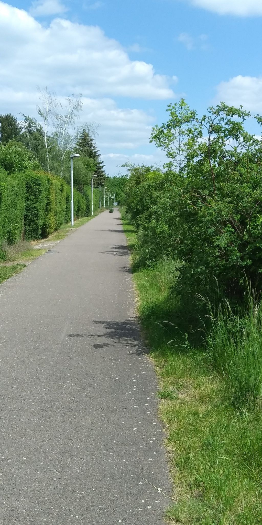 Radweg zwischen Gartenanlagen und Feldern-grün