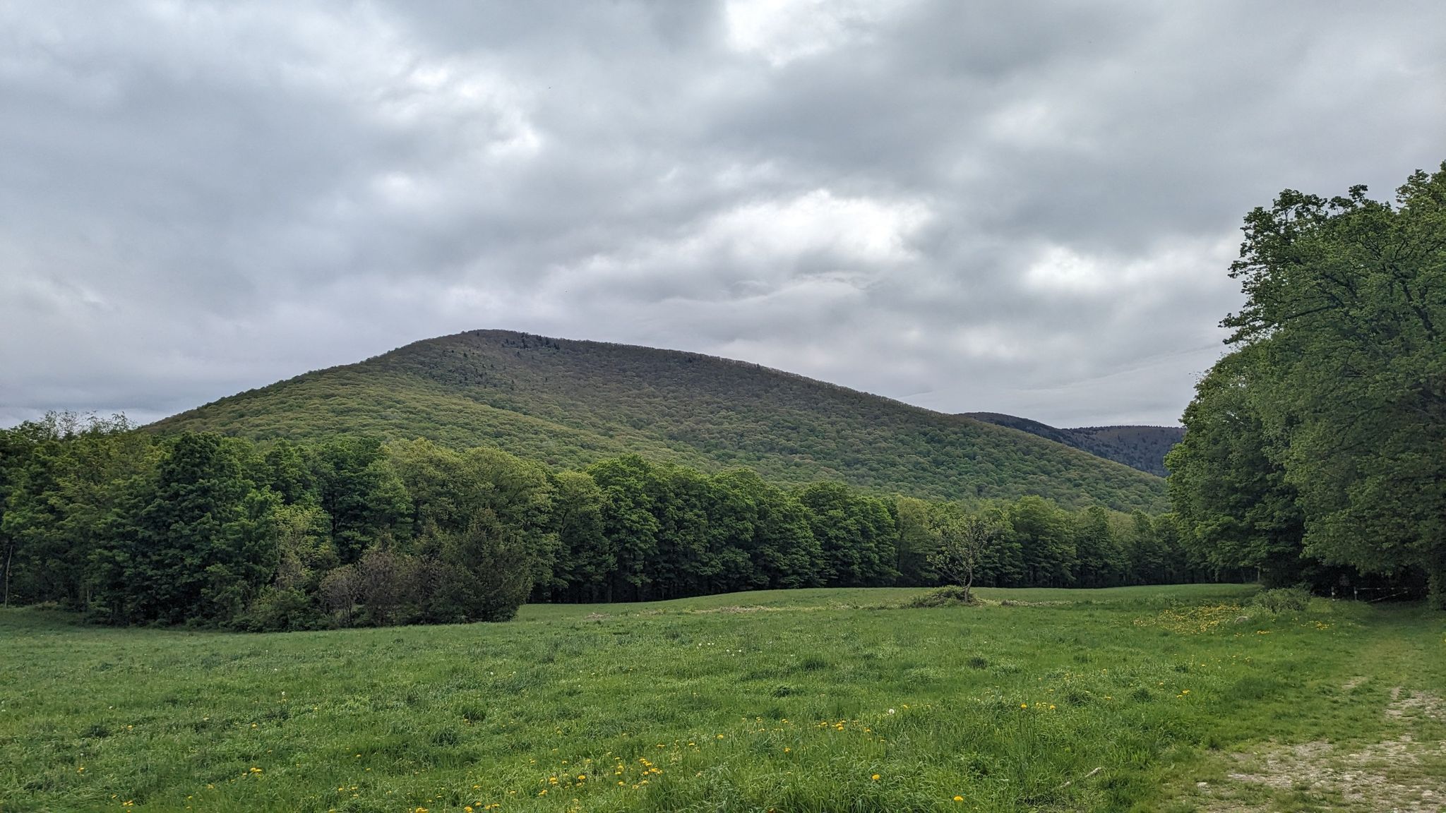 Green mountain rises above a lush field under an overcast sky. - Stony Ledge via Haley Farm and Hopper Trails Loop
