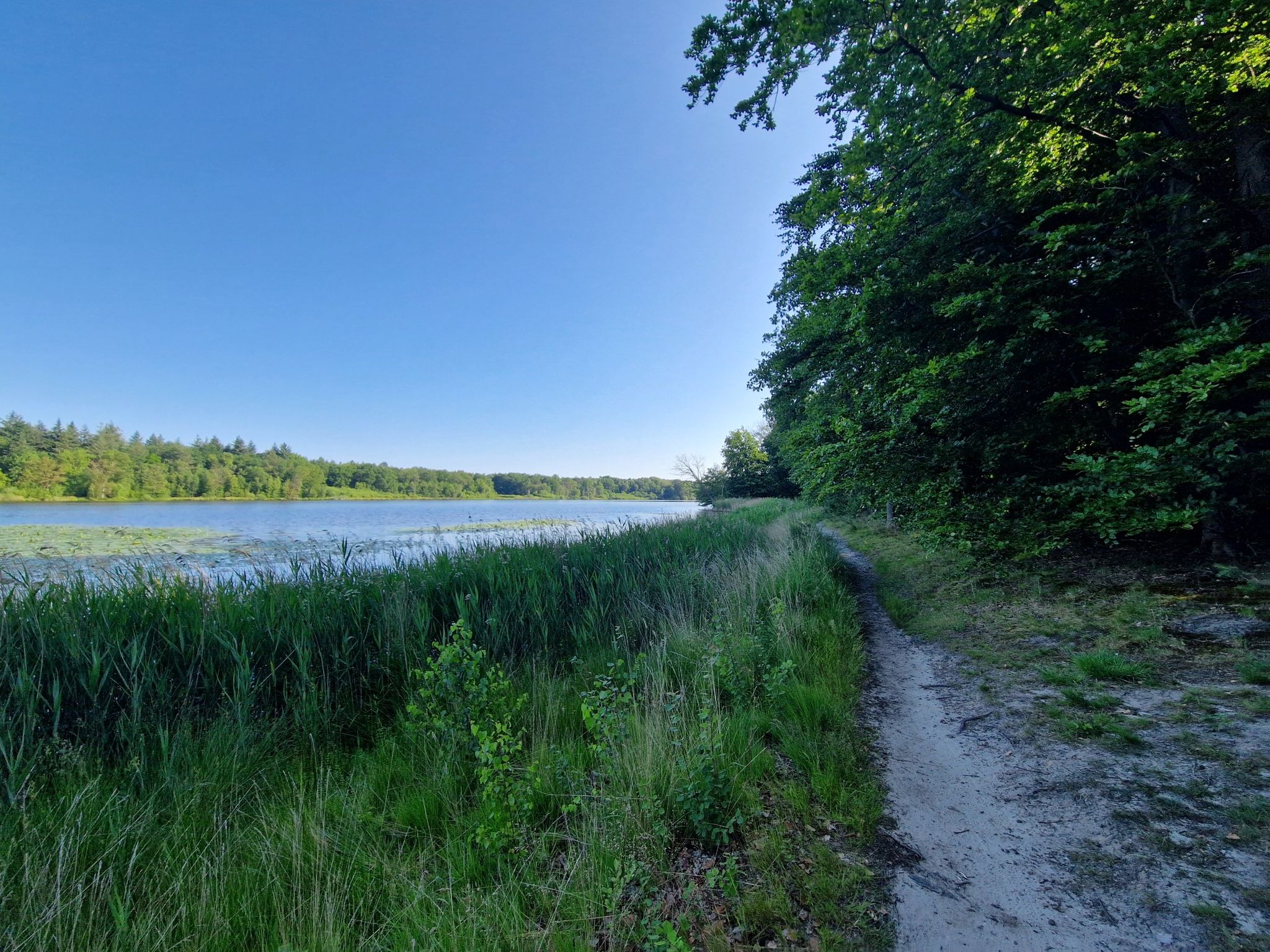 Der Weg am "Zwart Water"