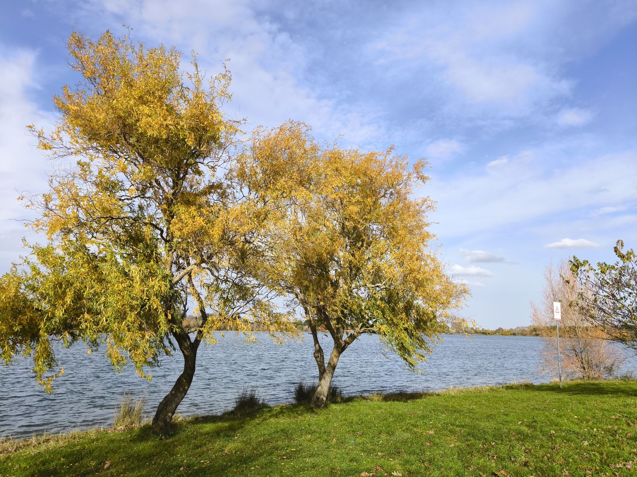 Lac de la Ramée