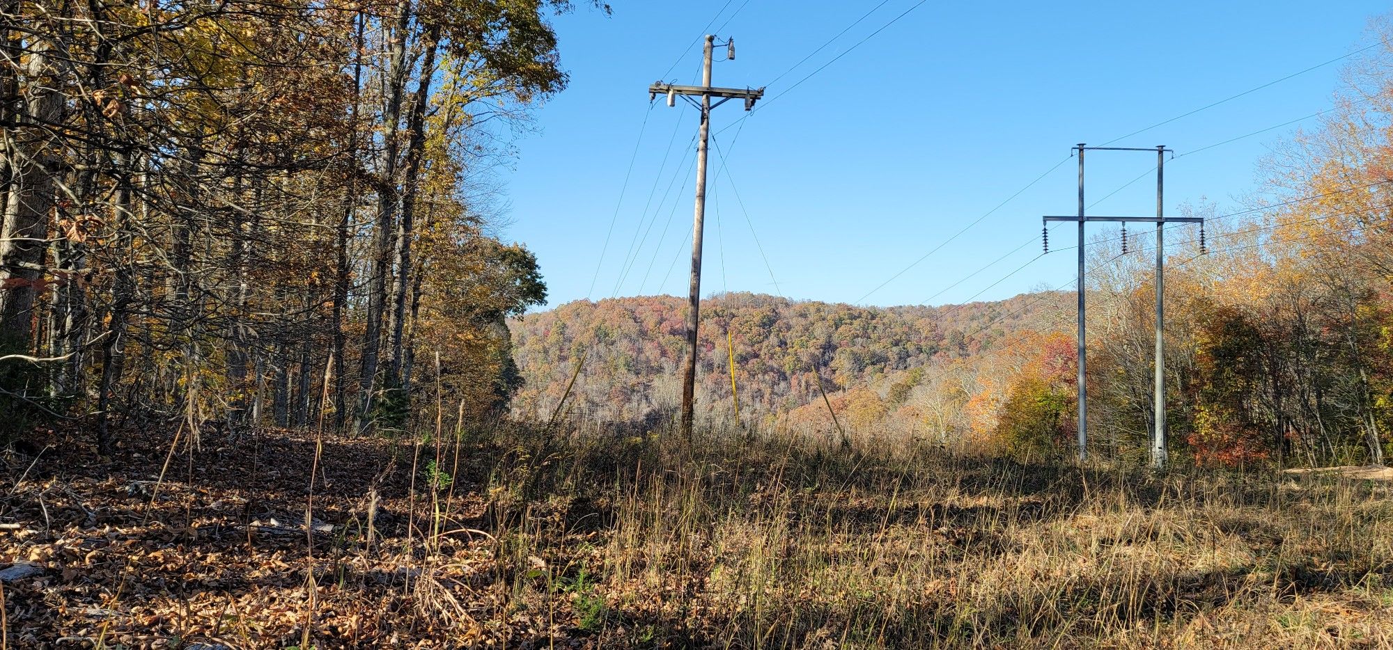 Power lines and poles stand in an open field beside autumn forests. - Observation Point Trail