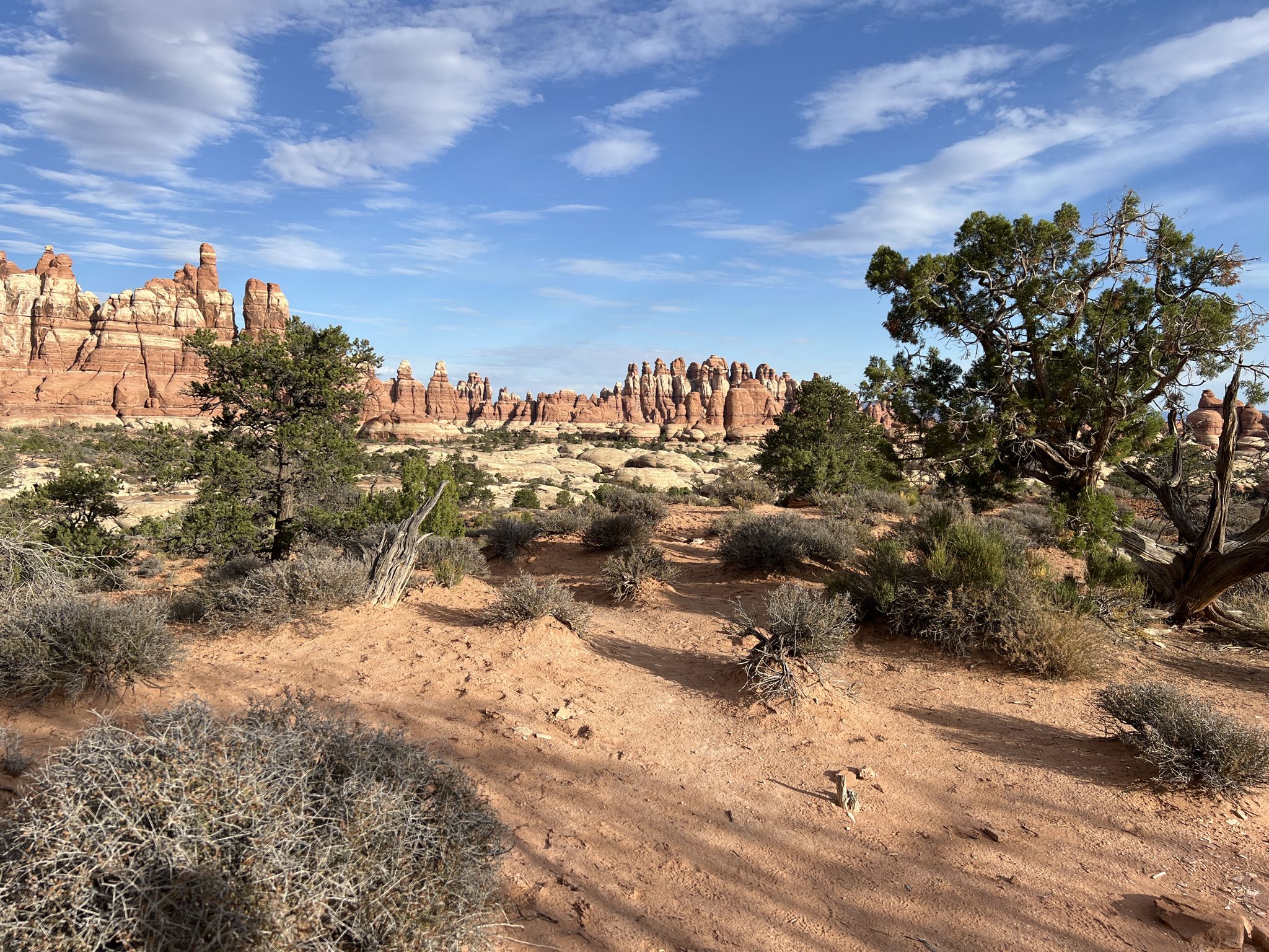 Sunny desert landscape with red rock formations, sparse trees, and blue sky. - Elephant Hill – View over Chesler Park loop from Soda Spring