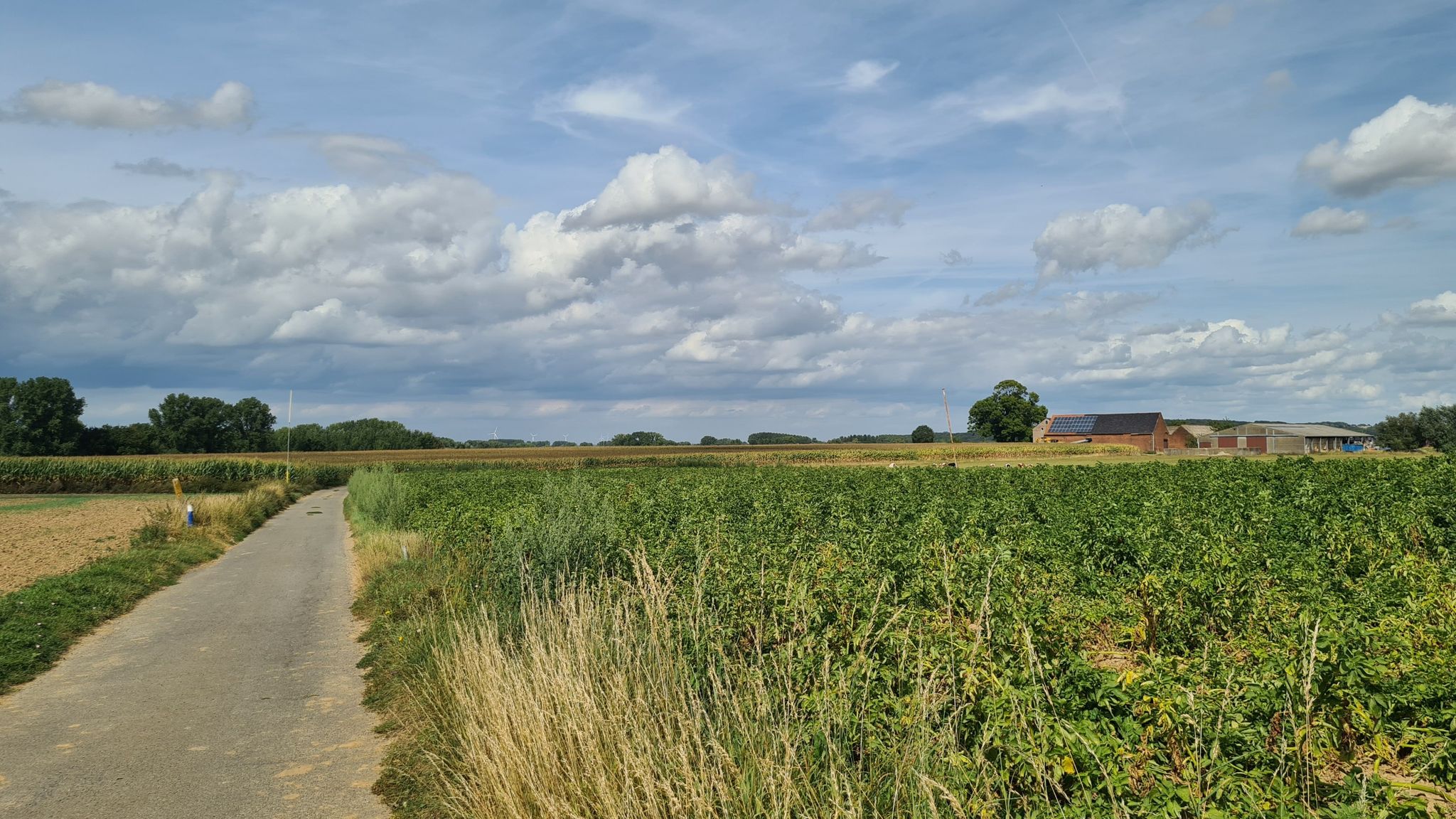 zicht naar Aalst