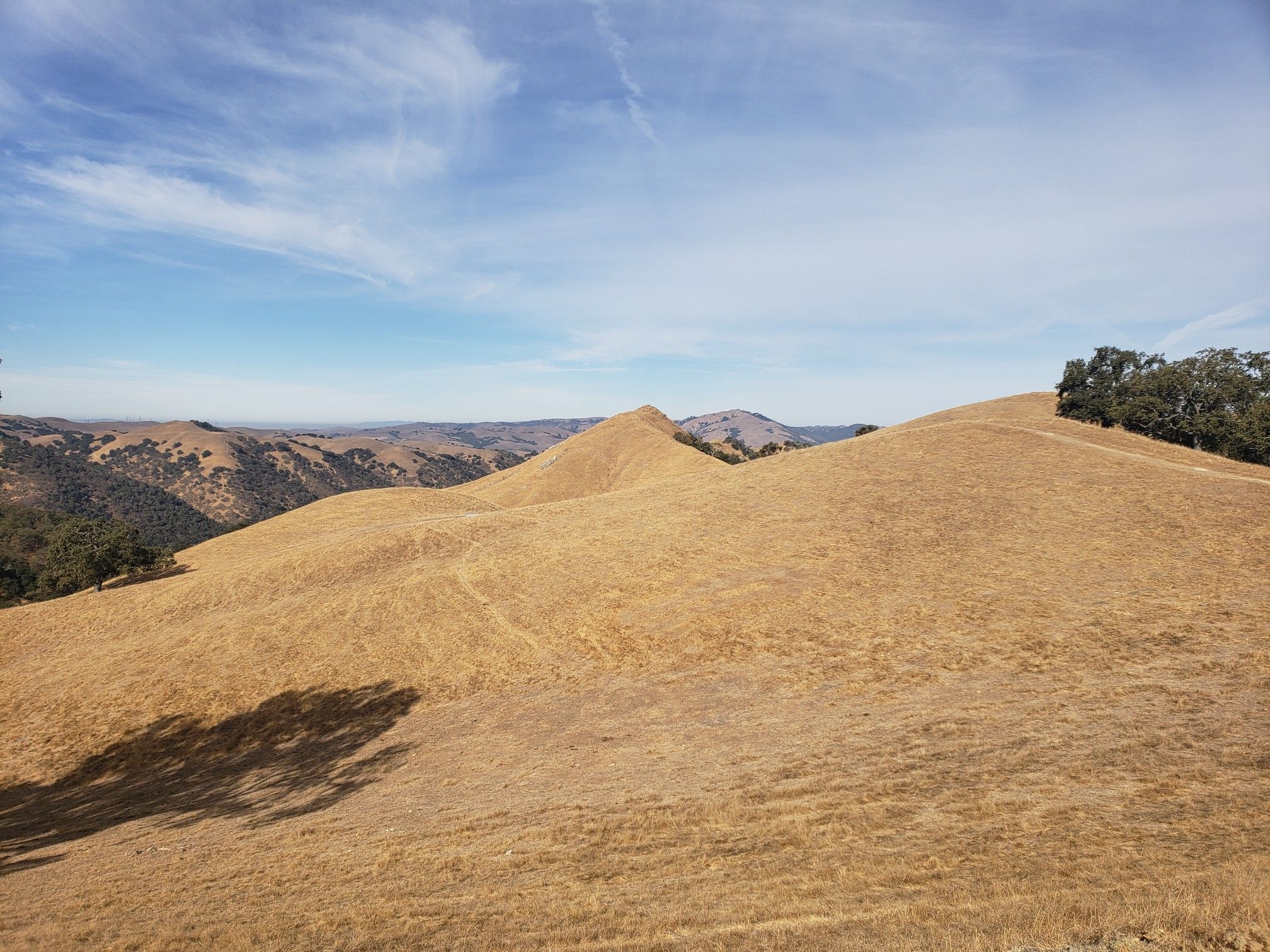 Expansive golden-brown rolling hills stretch under a bright blue sky with scattered clouds. - Indian Joe, Cave Rocks, High Valley, and Flag Hill Loop