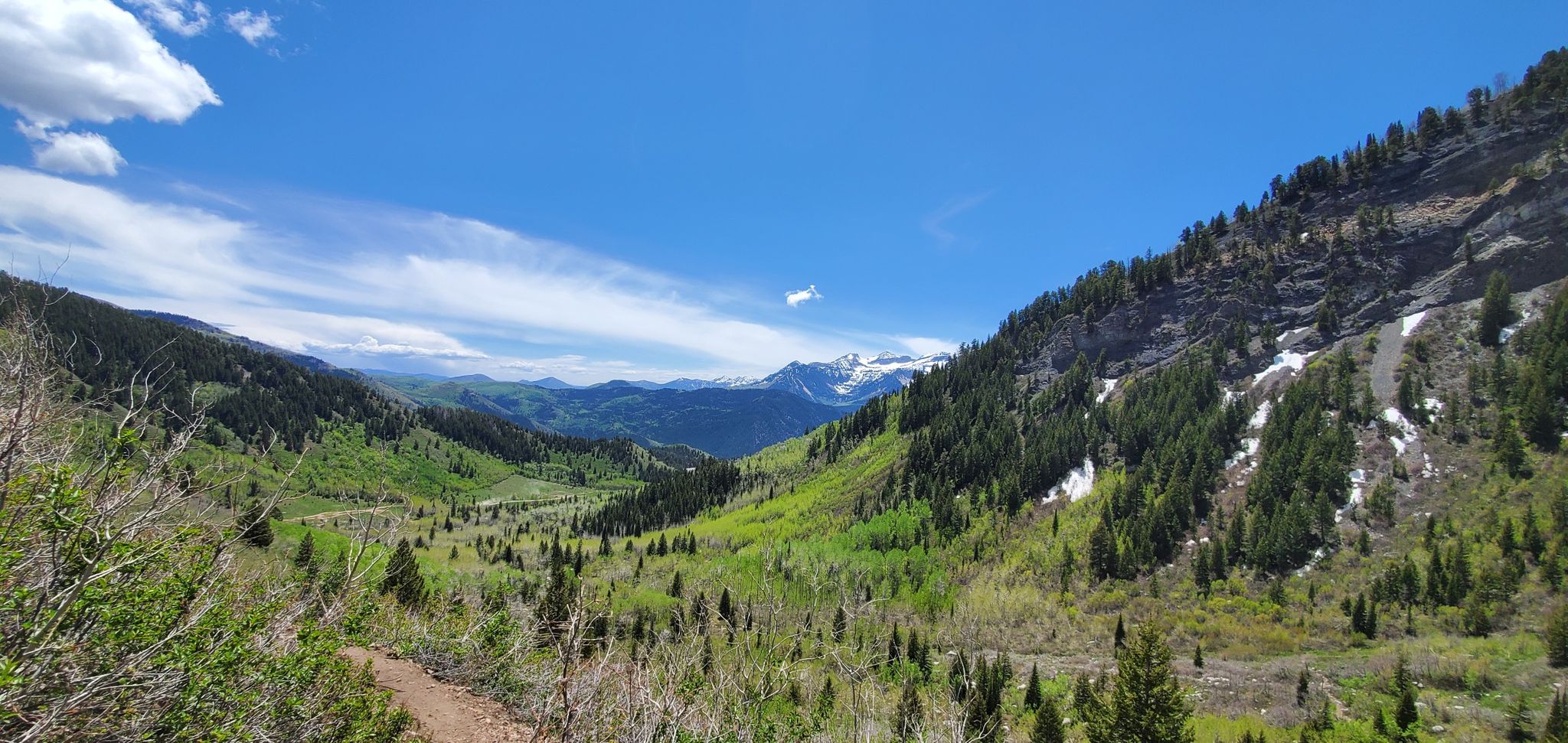 Lush green mountain valley under a bright blue sky with distant snowy peaks. - Silver Lake Trail
