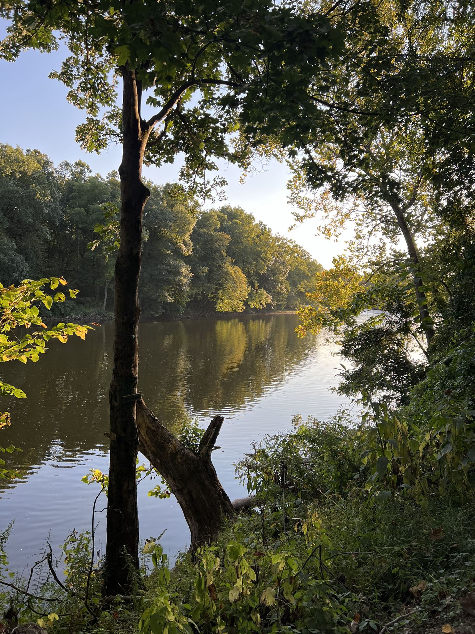 Golden sunlight illuminates a calm river surrounded by lush green trees. - D&L Trail: Freemansburg to Farmersville Road
