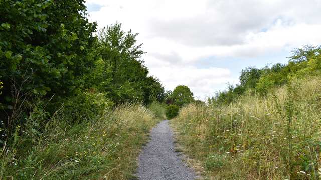Boucle Terrils 2 et 3 d'Haillicourt – Les marches du terril n° 2 au départ de Haillicourt