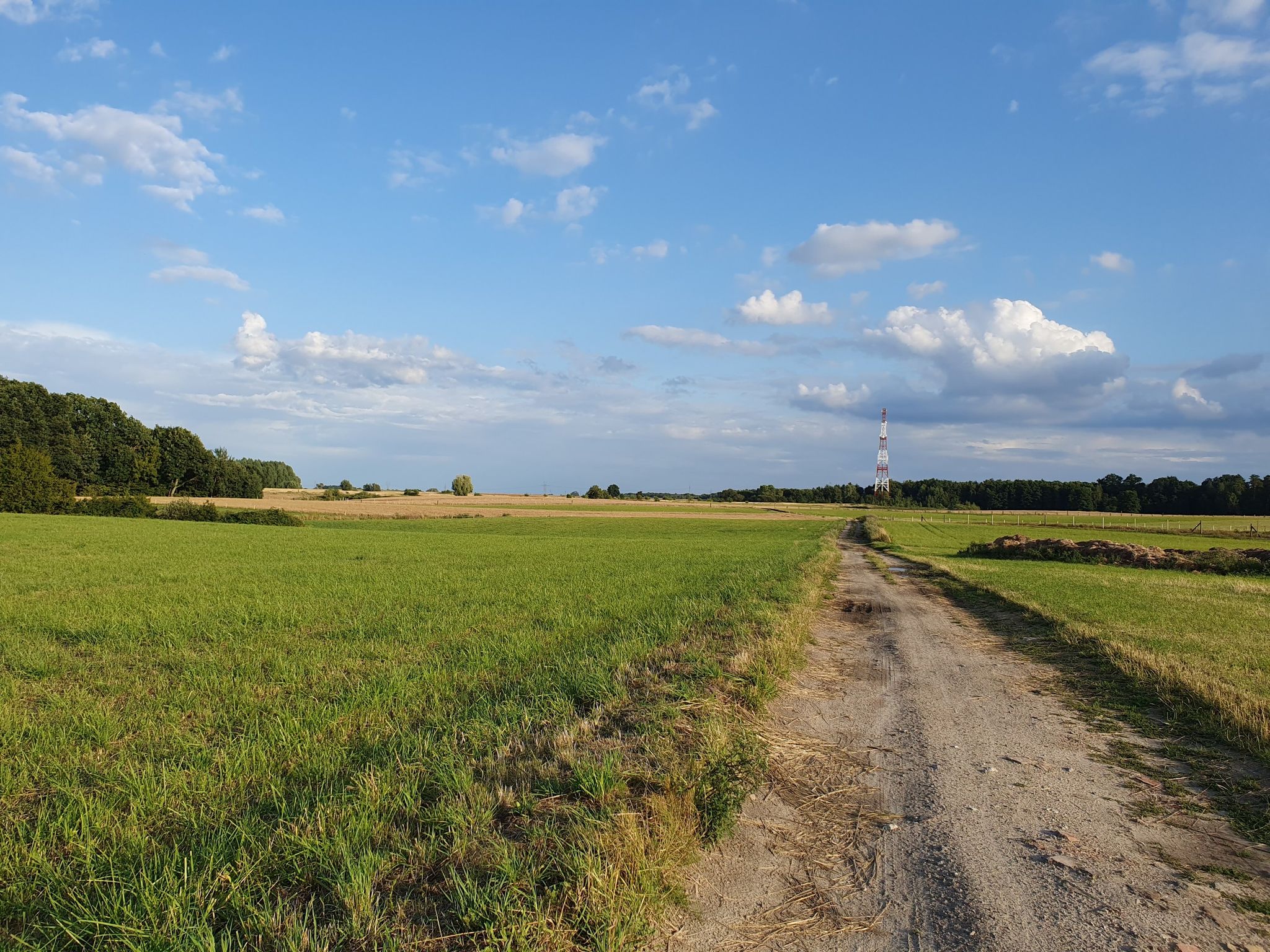 Trasa raczej na MTB niż gravel, ale widok fajny