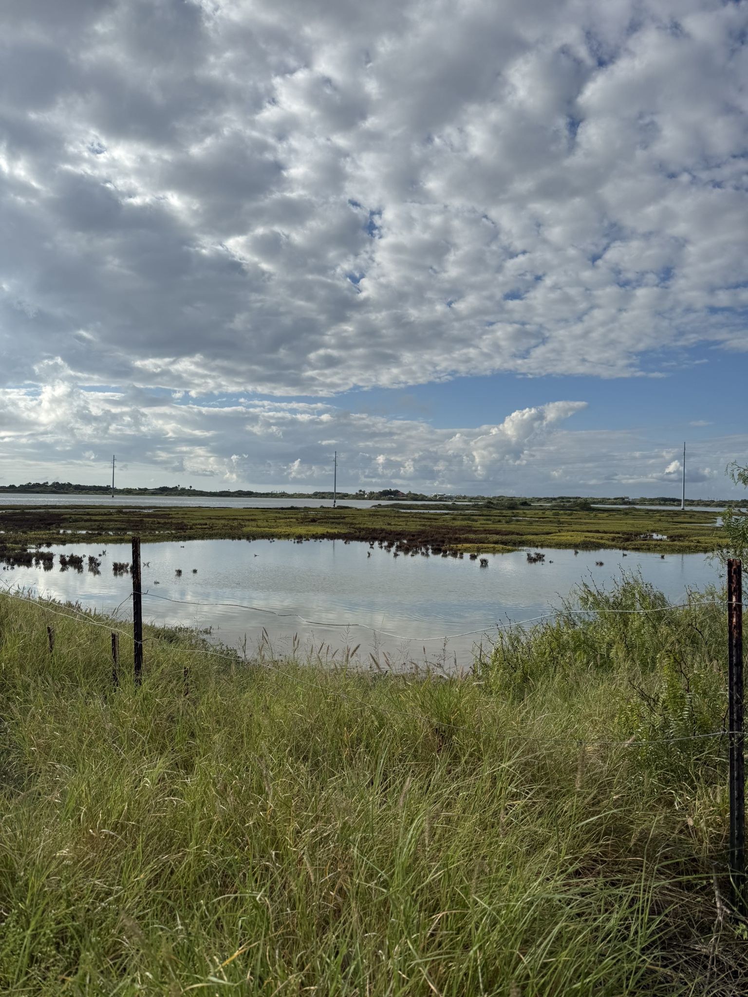 Grassy foreground overlooking a calm wetland under a partly cloudy sky. - Oso Bay Wetlands Preserve Trail