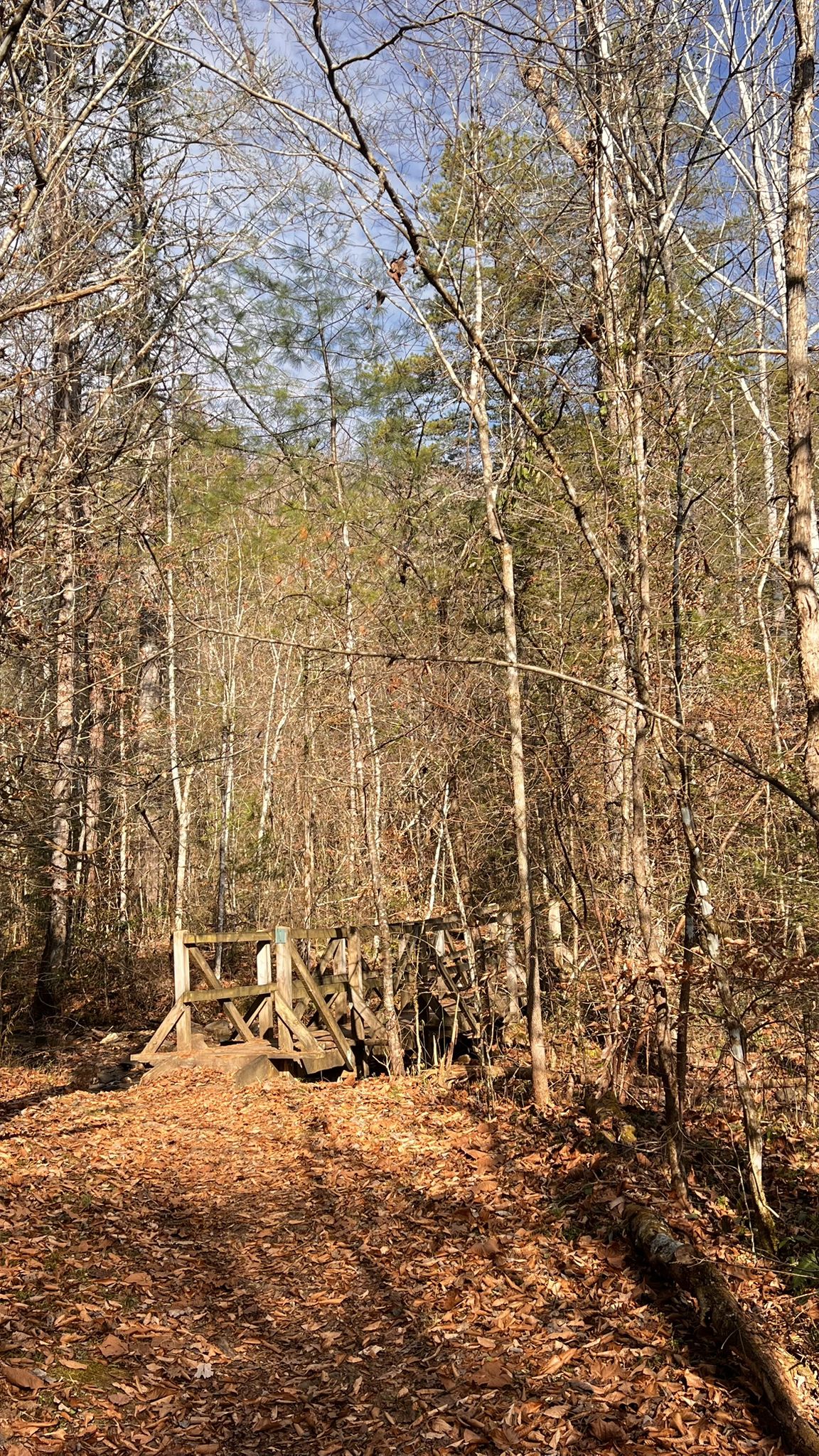 A rustic wooden footbridge crosses a sunlit forest path covered in brown leaves. - Twin Arches Loop Trail