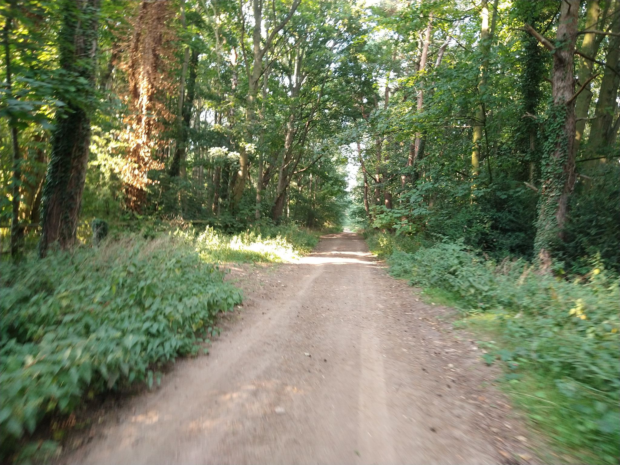 Straight on bridleway. Continue into Herringswell
