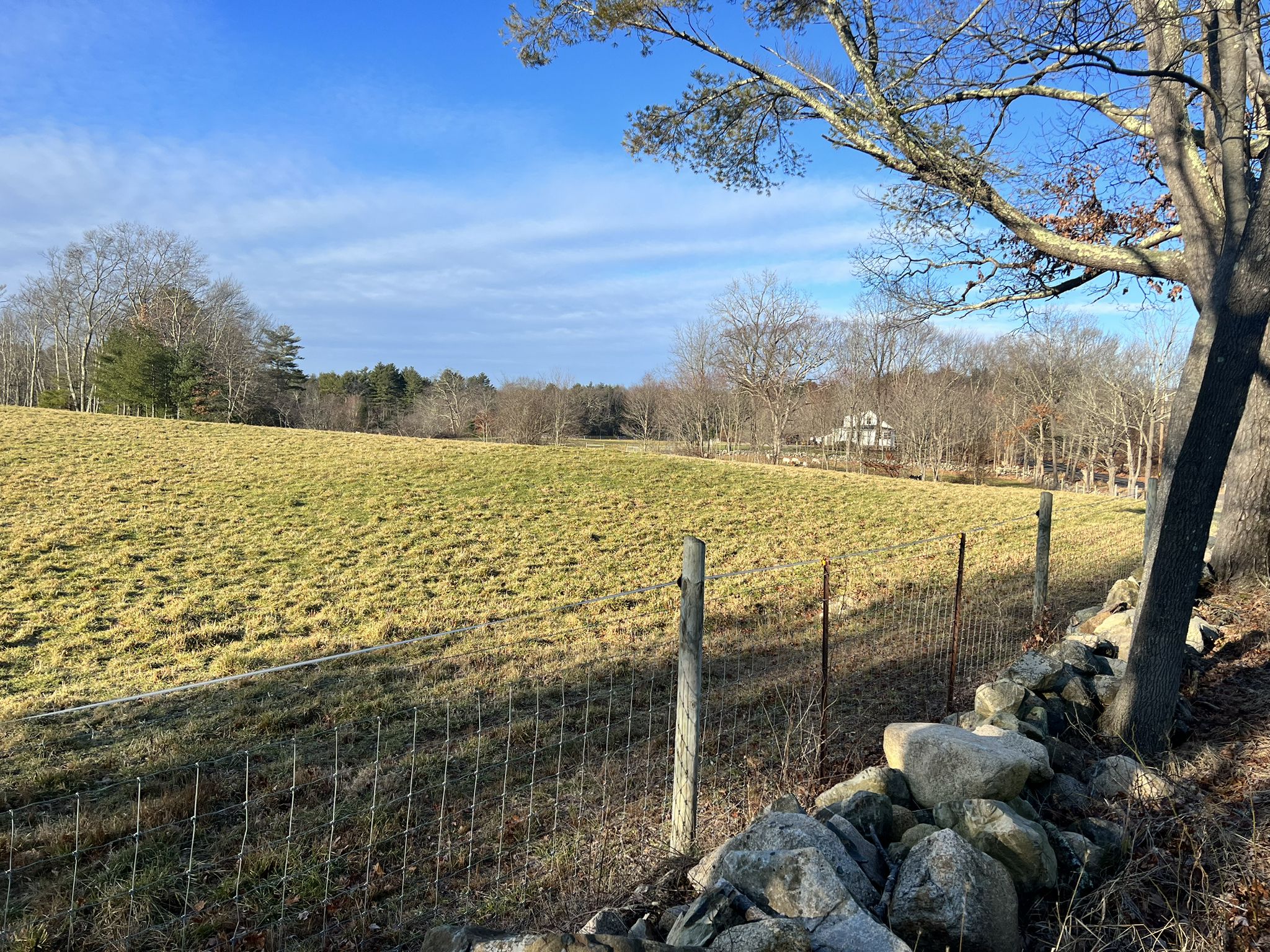 Sunny field with stone wall and fence, distant trees under blue sky. - Powisset Street – Hartford Street loop from Needham Center