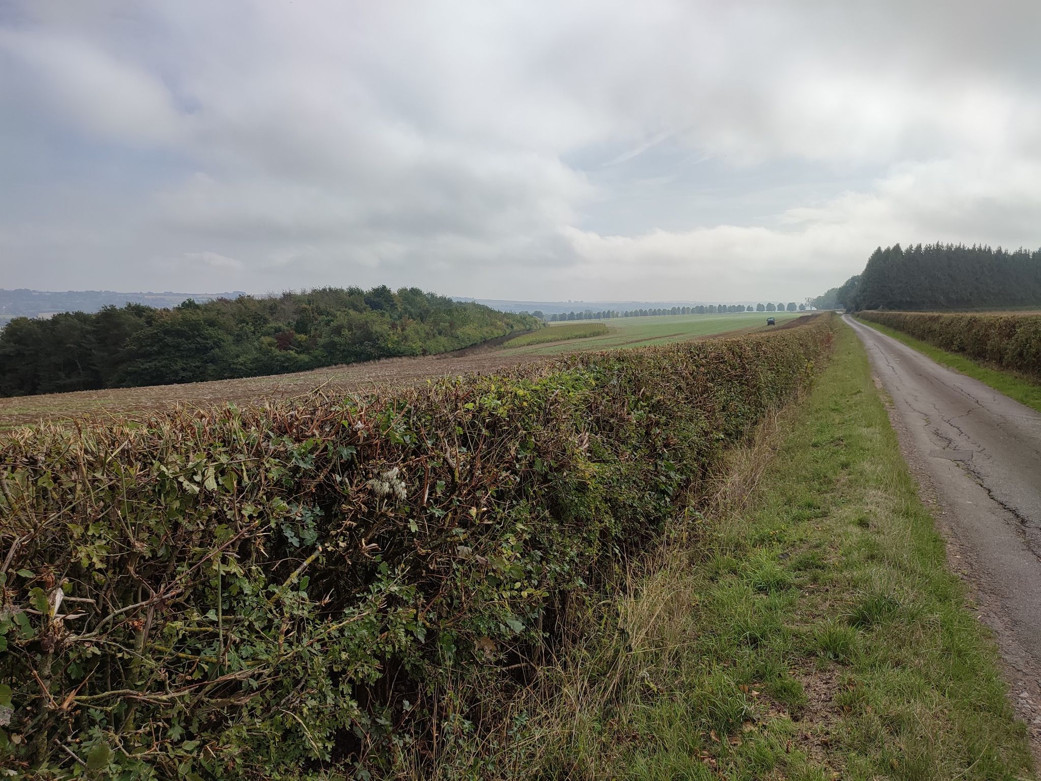 Clapton to Sherborne.