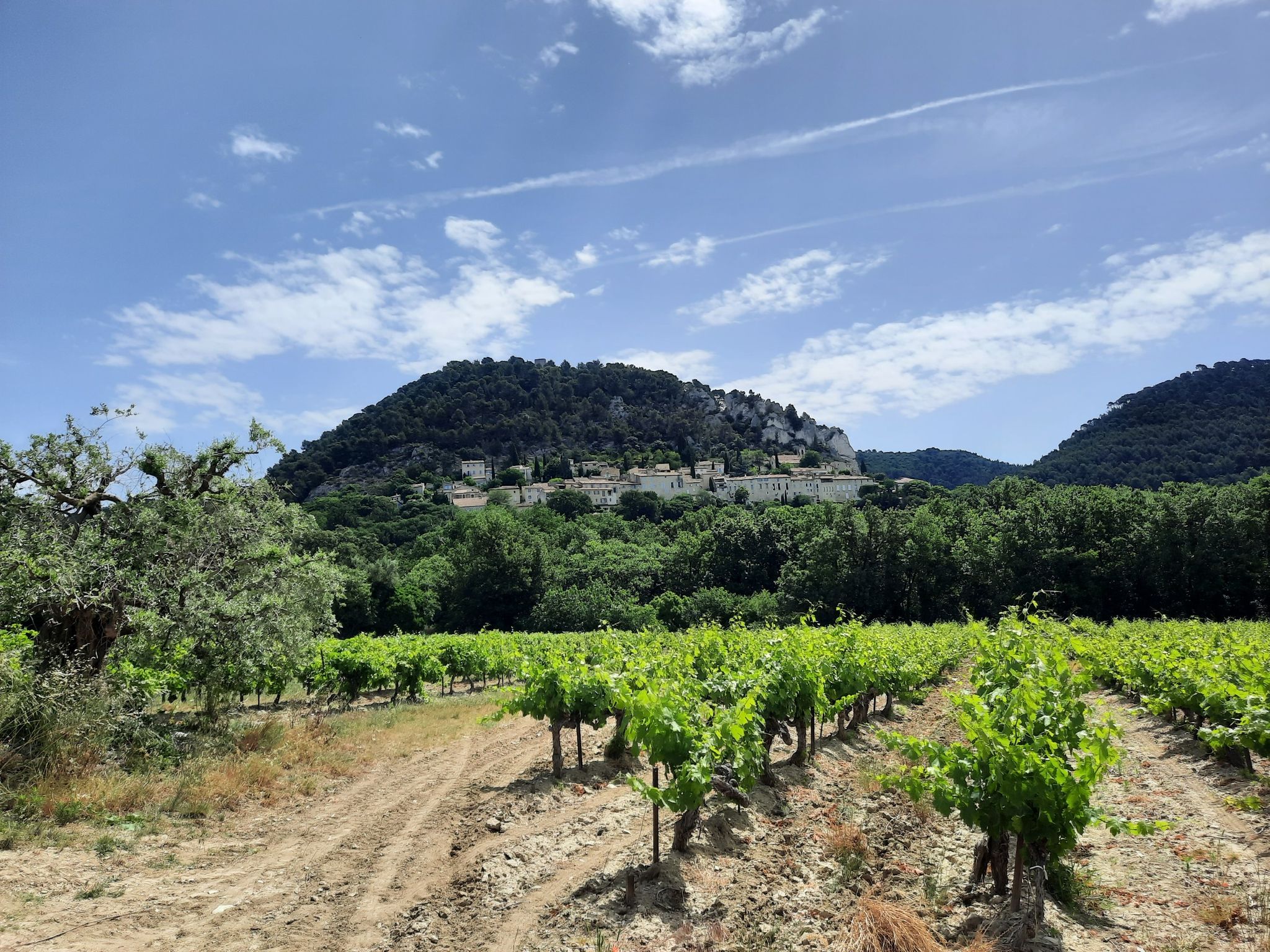 Seguret