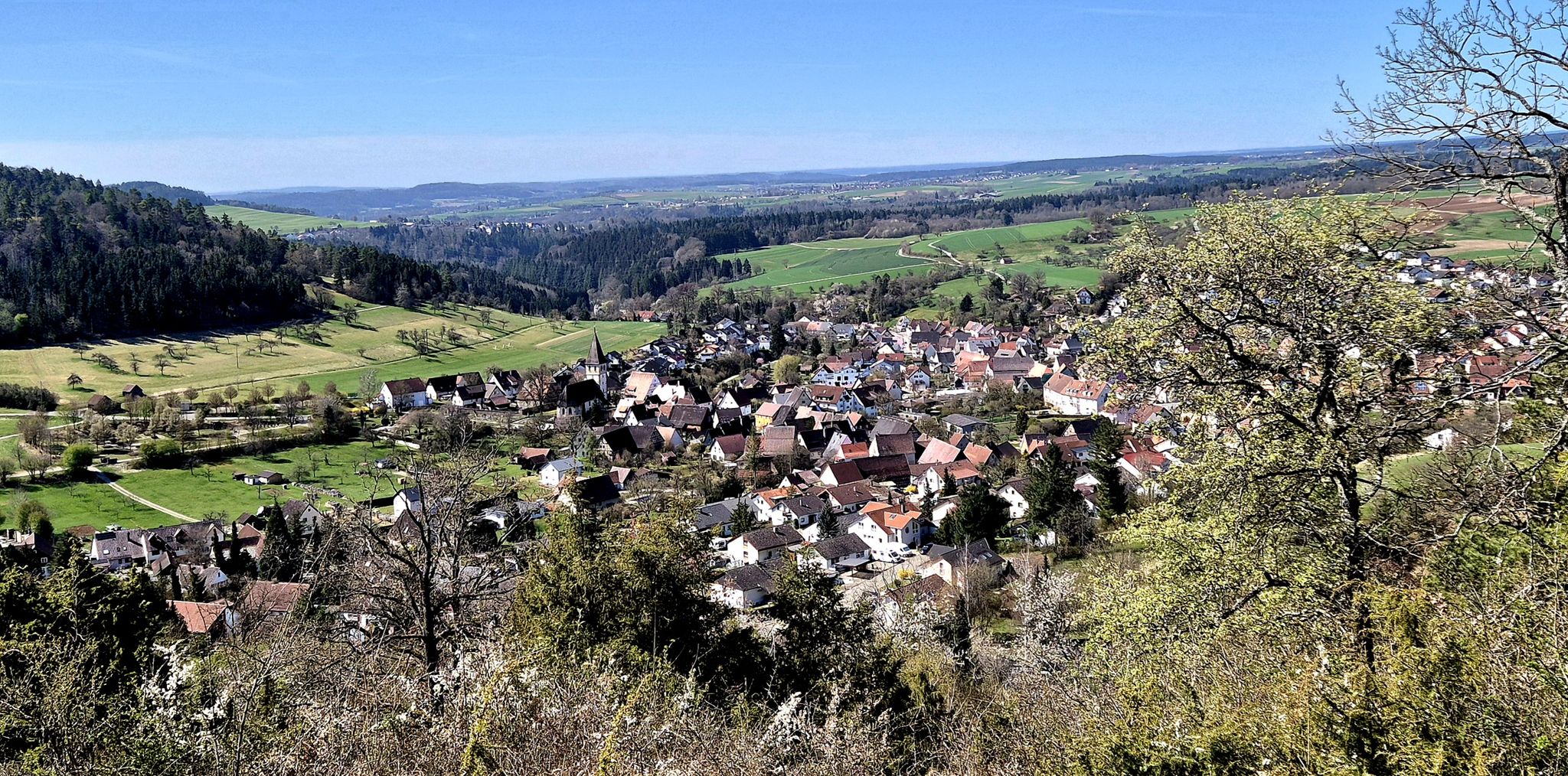 Blick über Gültlingen in den BF