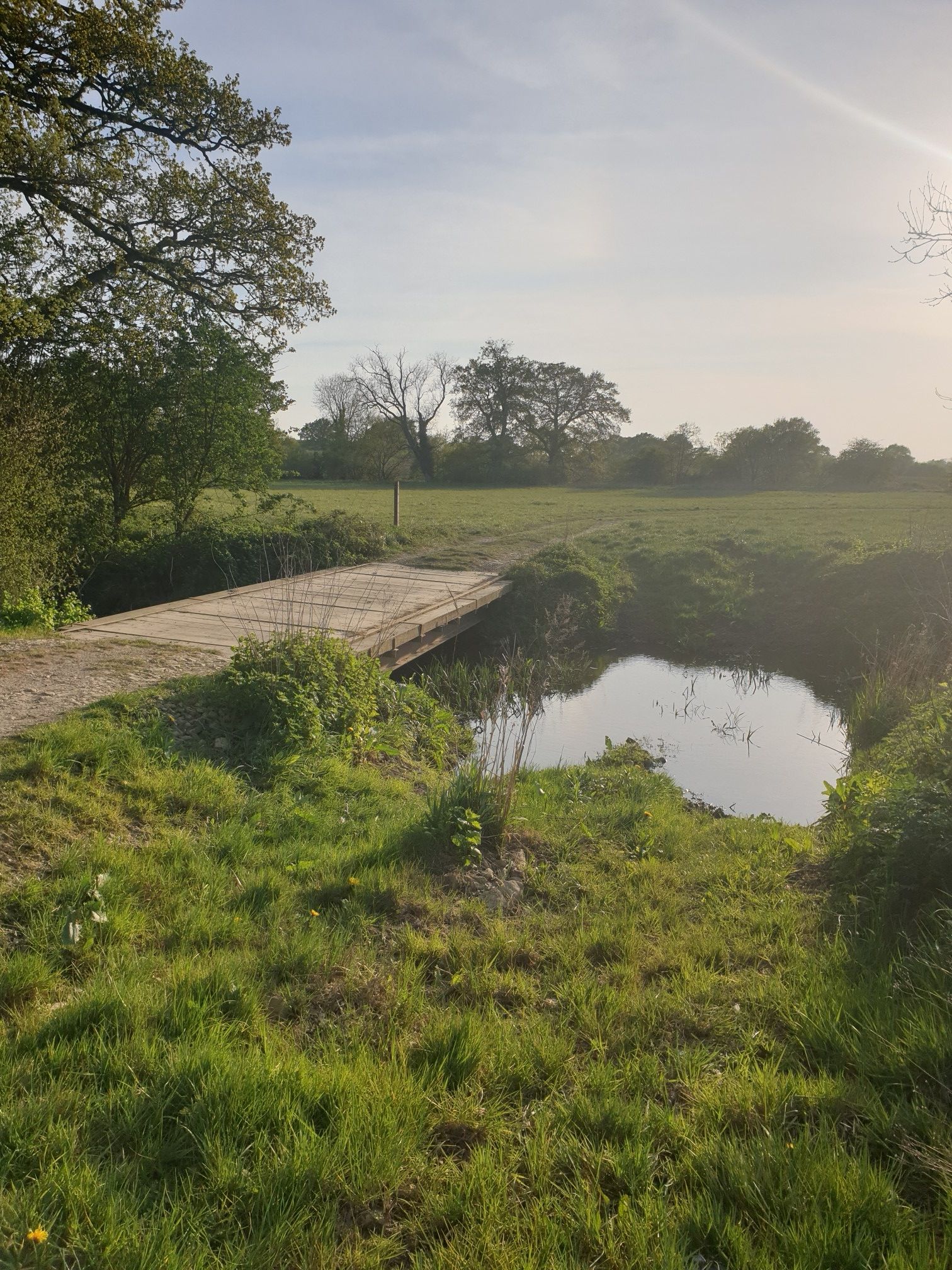 quiet bridge