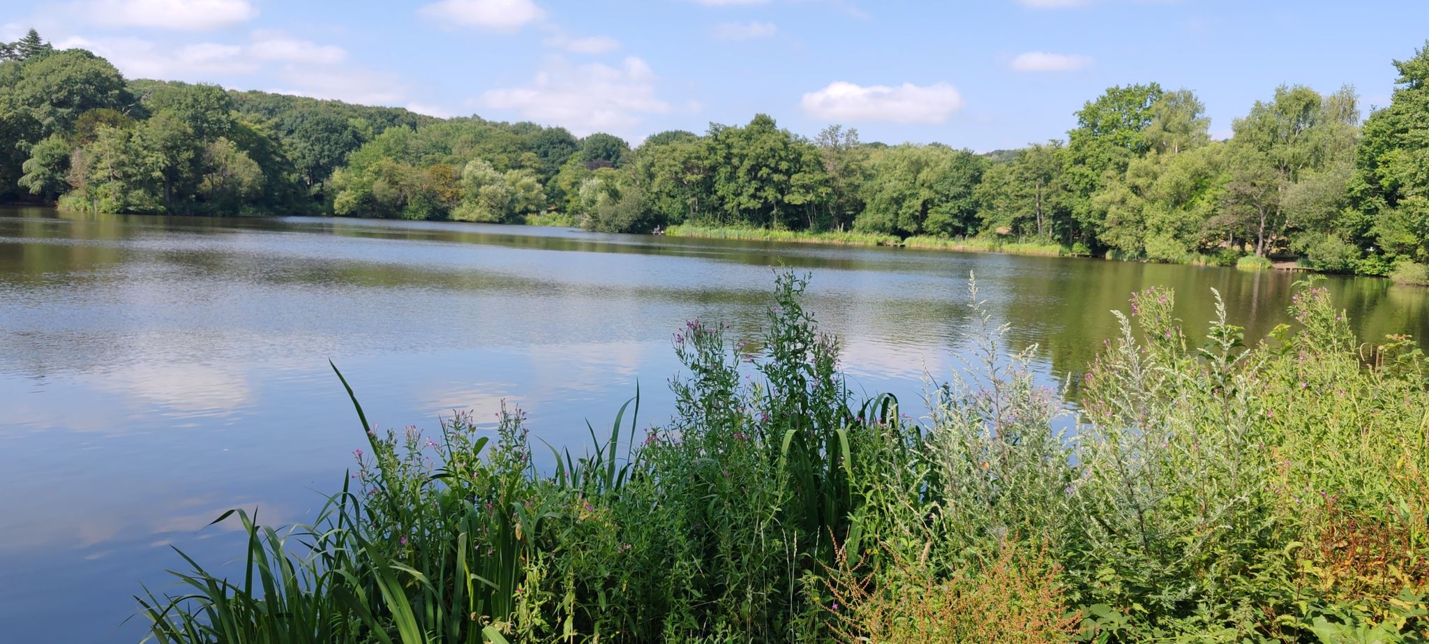 Allestree Lake