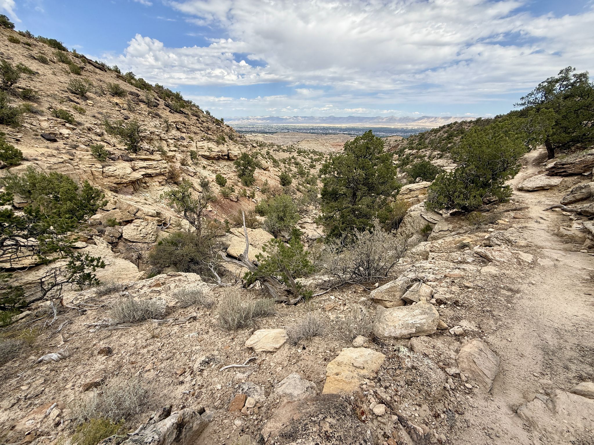 Rocky desert canyon with sparse green bushes, overlooking a distant valley. - Leftover Lane – Tabeguache Trailhead loop from Ocotillo Restaurant and Bar