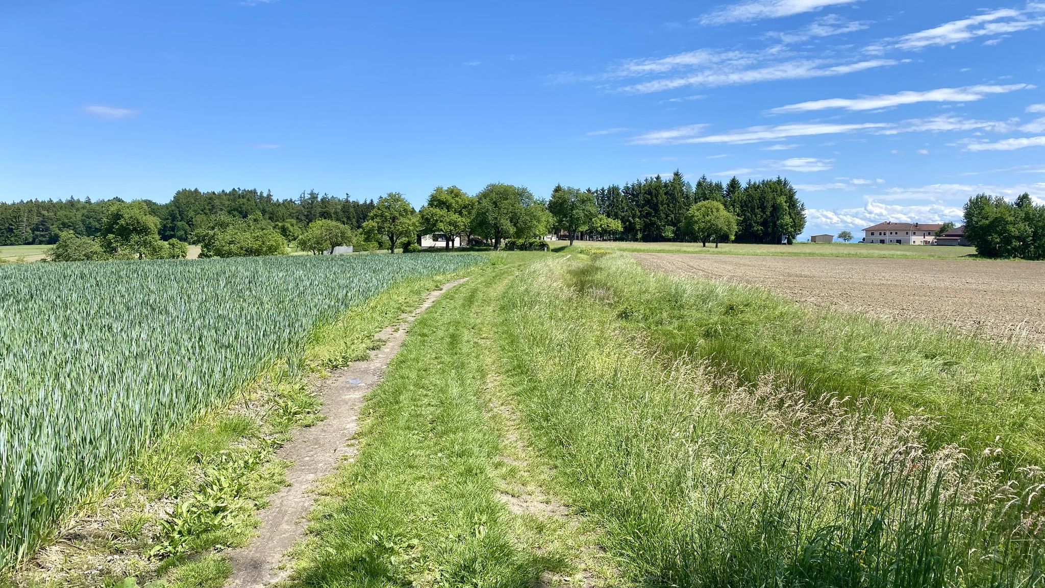 Ende der Römerstraße