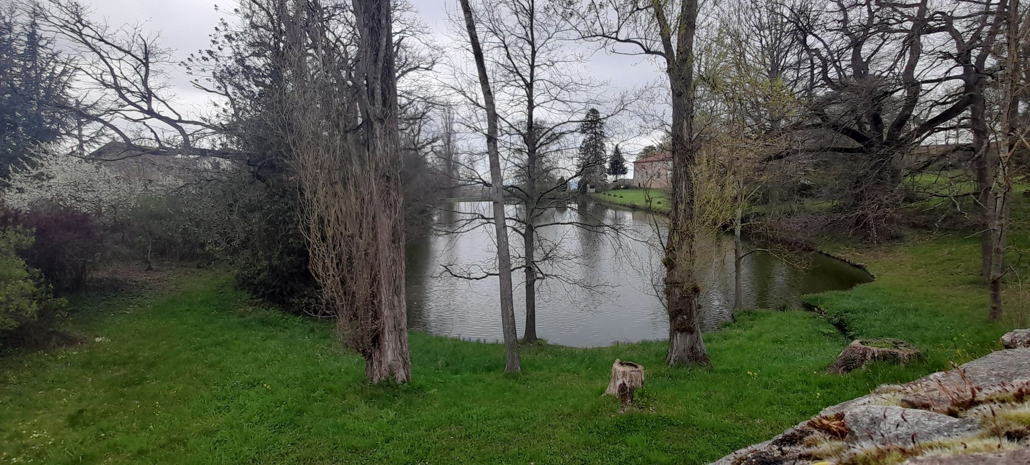 point de vue 2