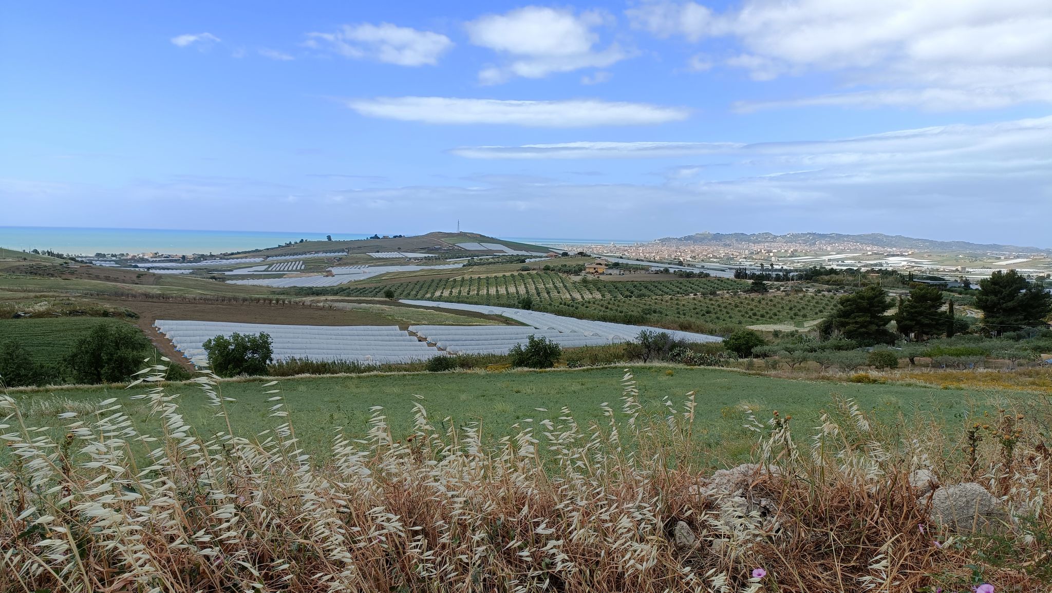 Lungo la salita del monte di Agrabona