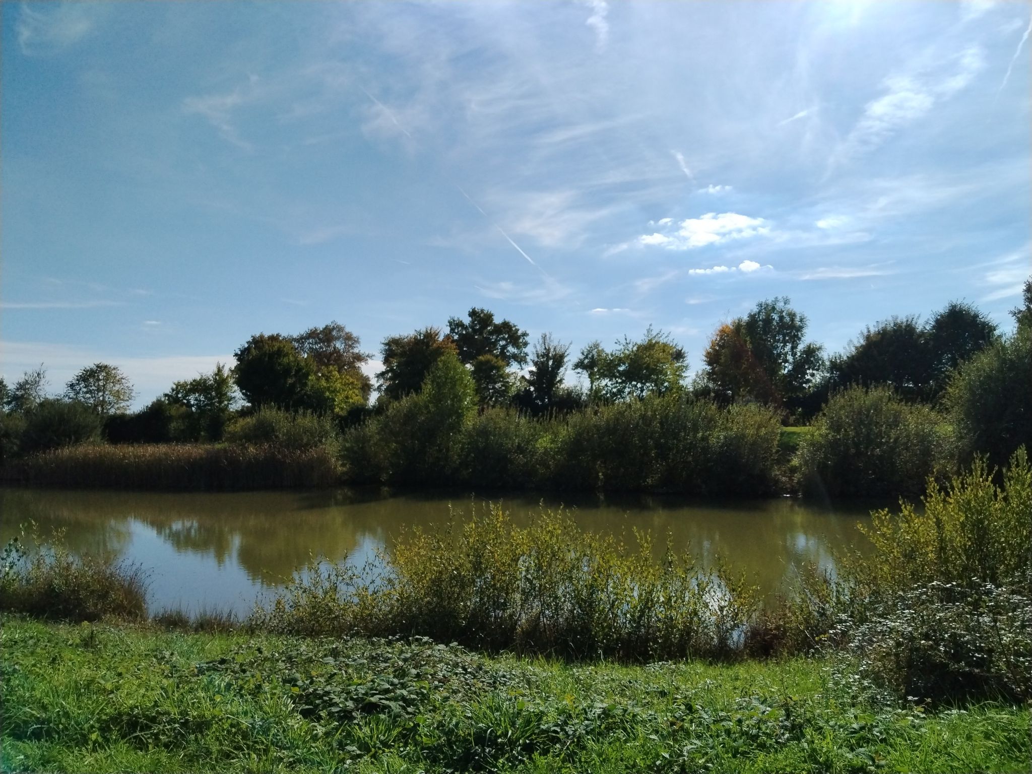 Vue sur l'étang de Montguillon