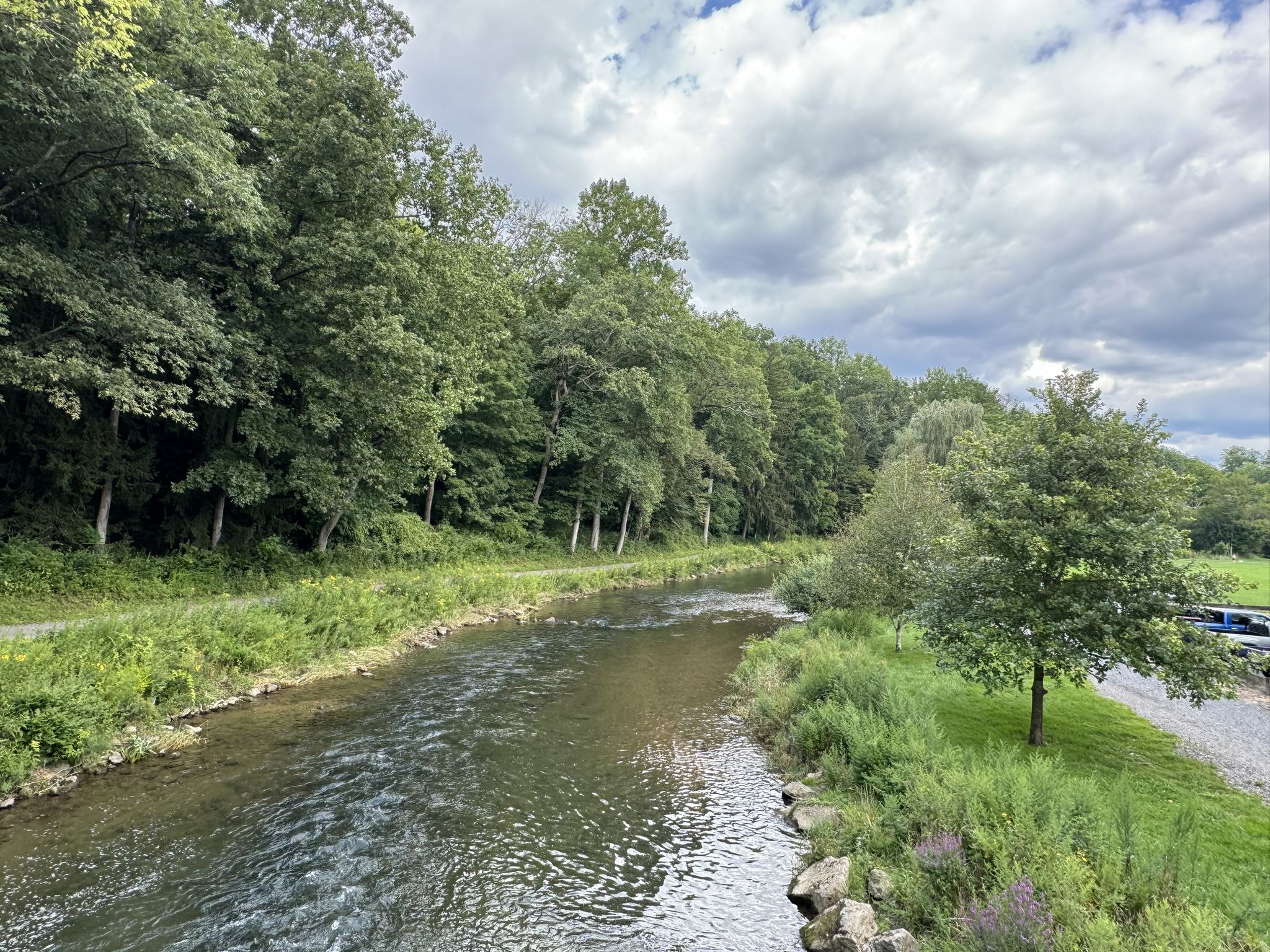 A river flows past lush green trees under a cloudy sky. - Bogert Covered Bridge loop from Lehigh Valley Hospital