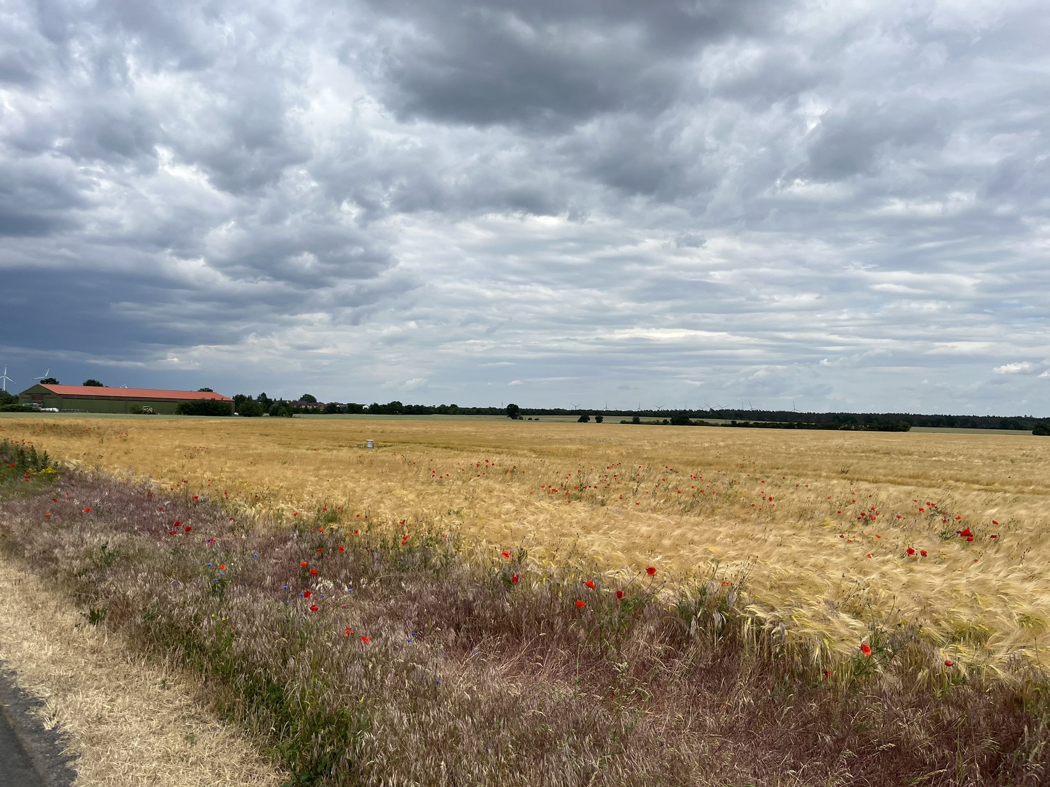 Gewitter?