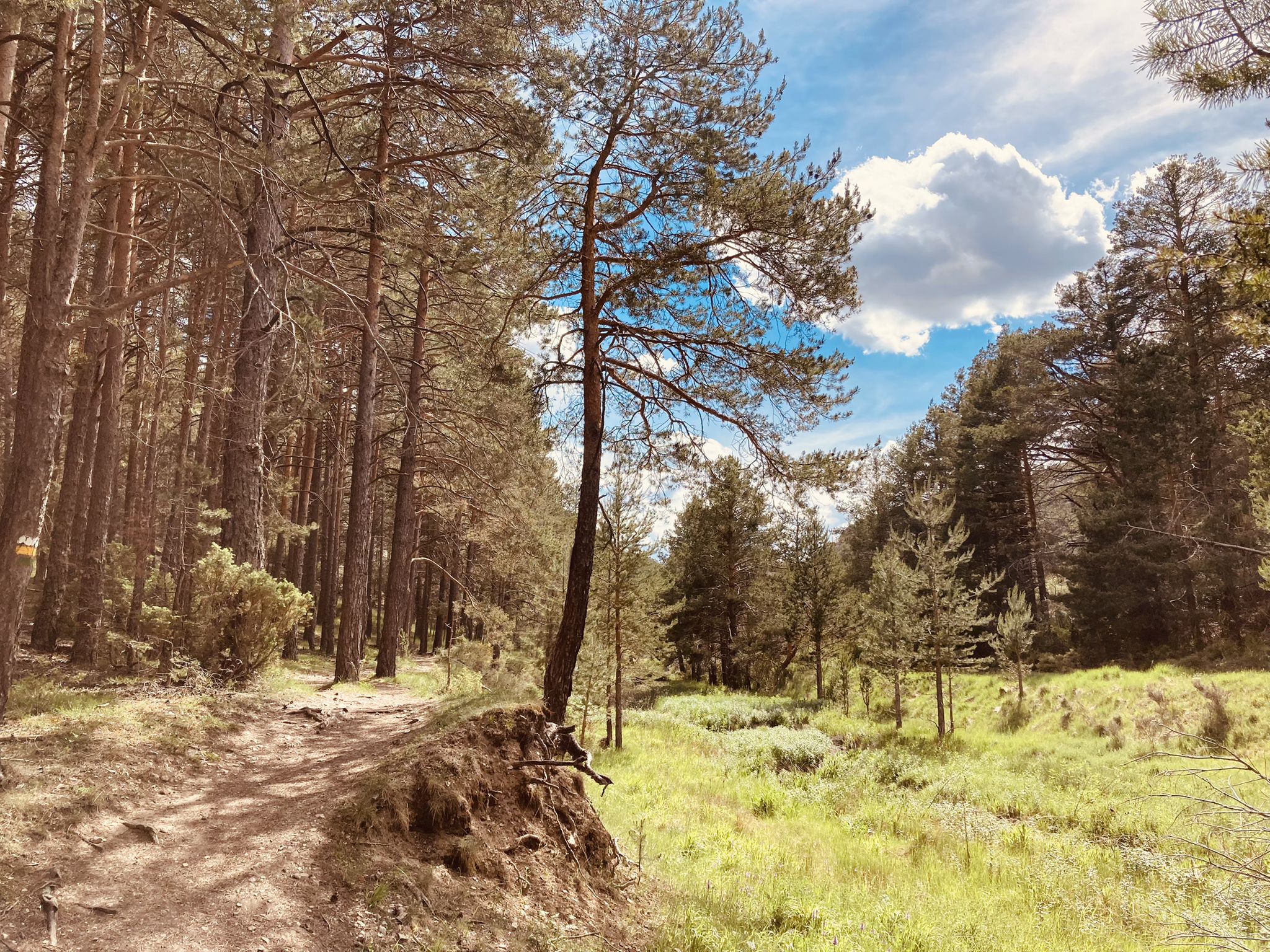 Ruta del Puente de Toba del Rio Blanco
