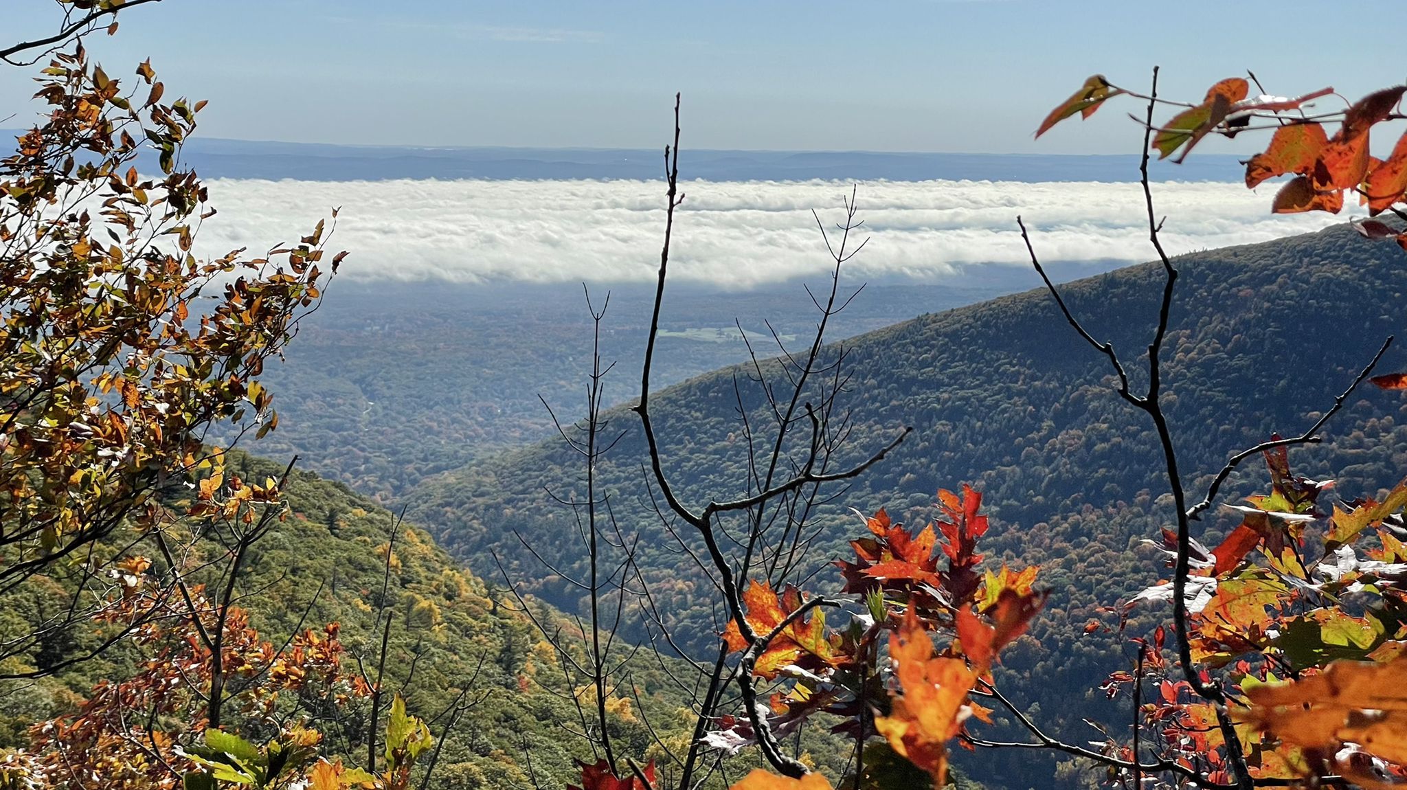 Scenic mountain view with a vast cloud inversion below, framed by colorful autumn leaves. - Escarpment Trail
