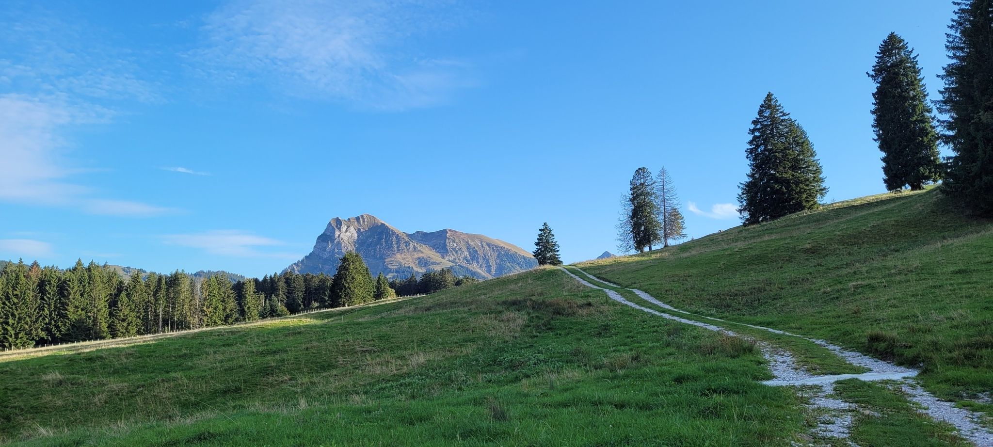 Plus près du paradis