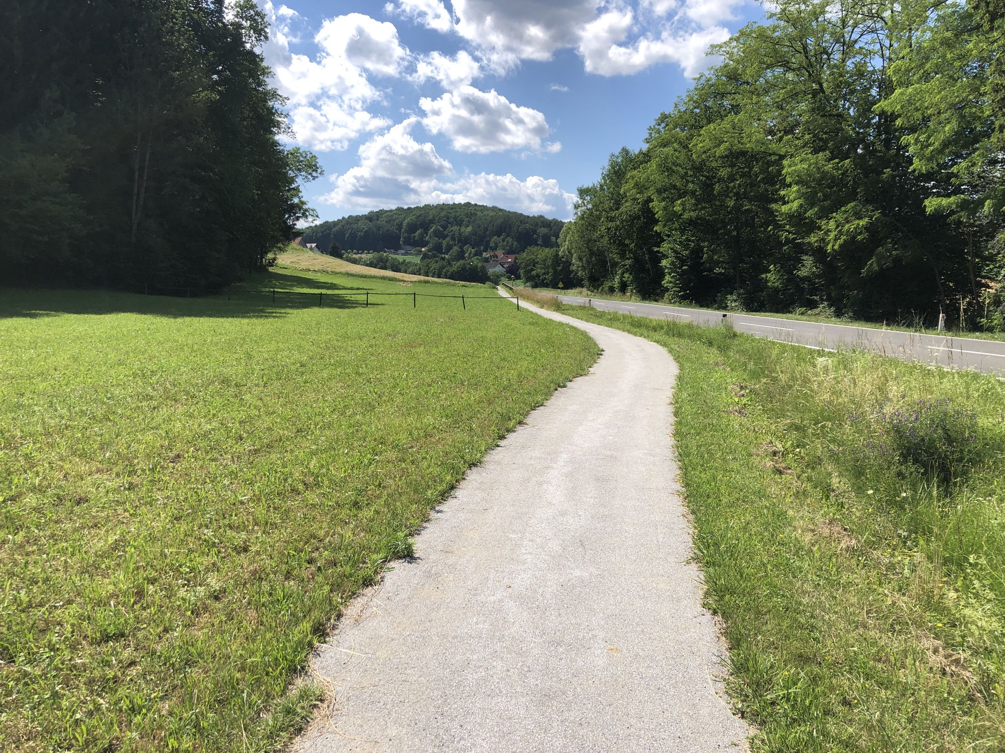 Rittscheintal Radweg neben Straße