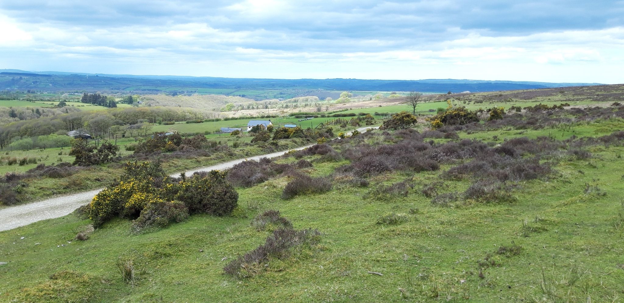 On Llanllwni Mountain