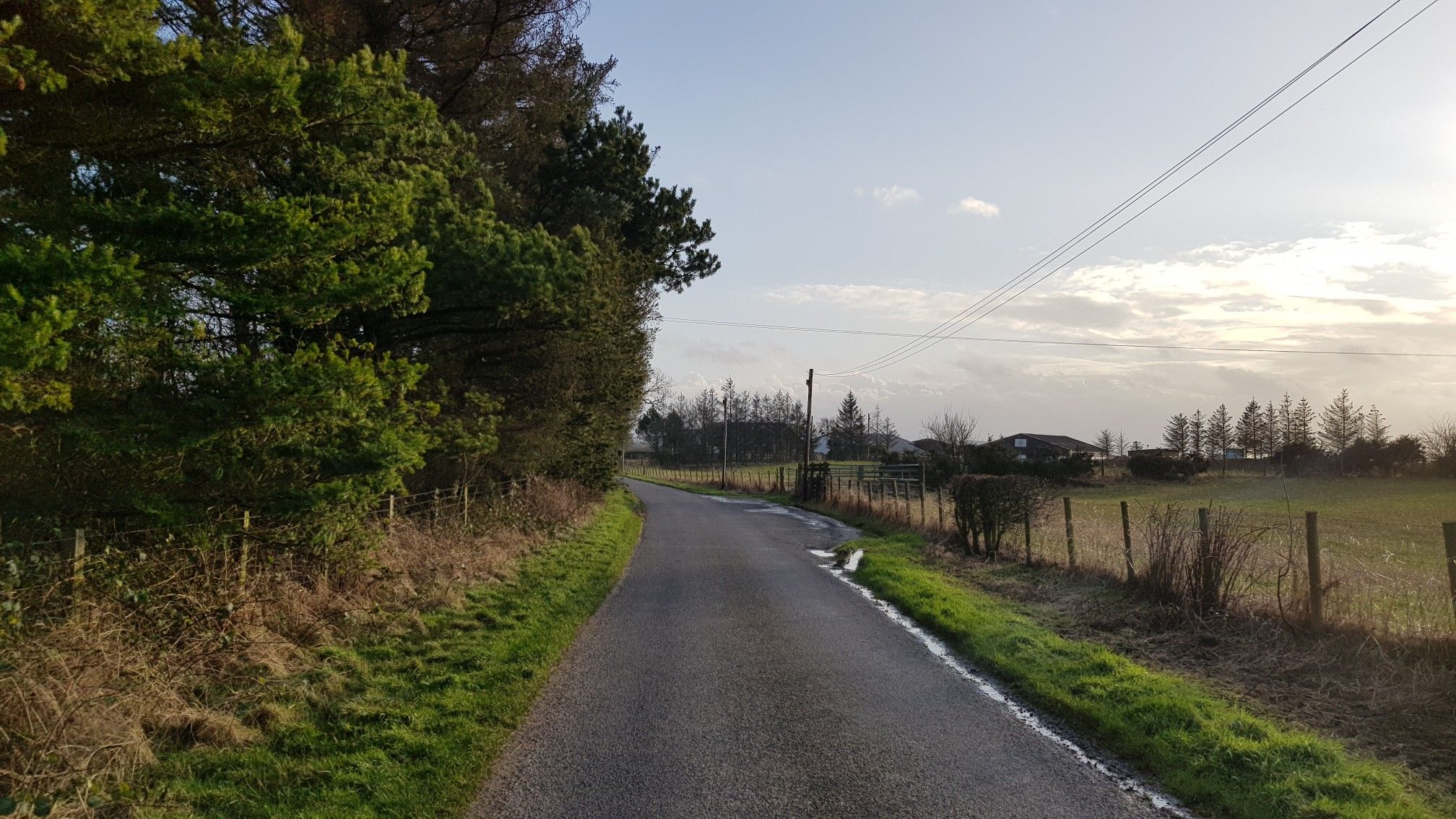 trees to left, fields to right
