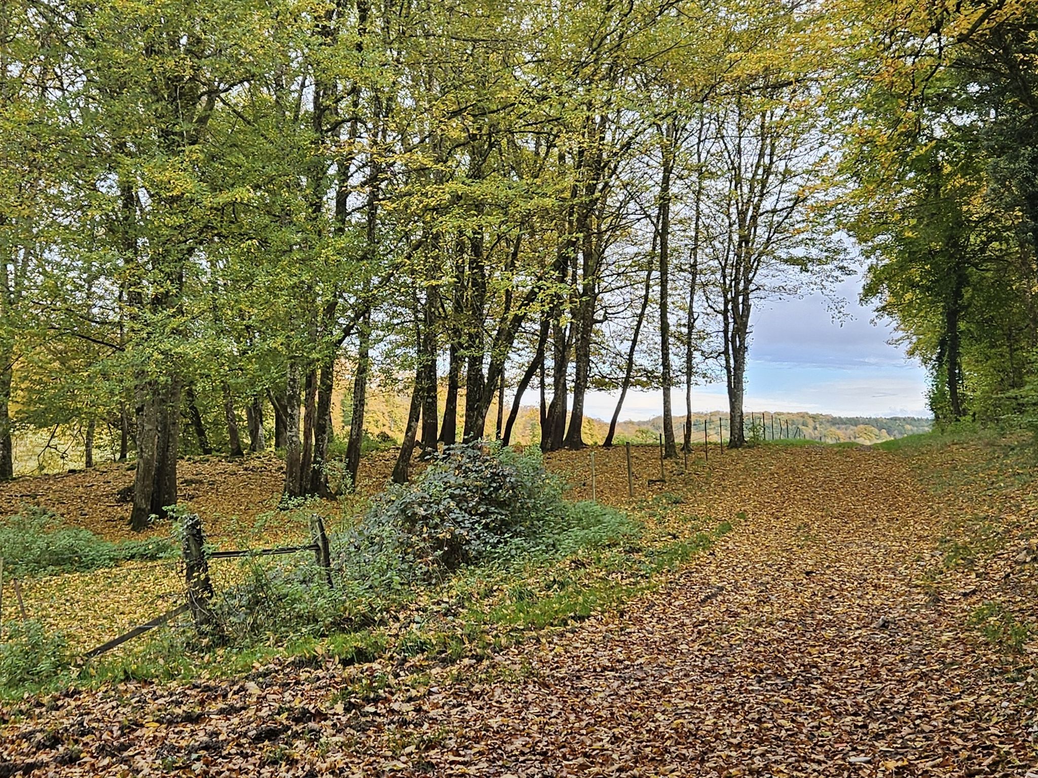 bunte Herbststimmung